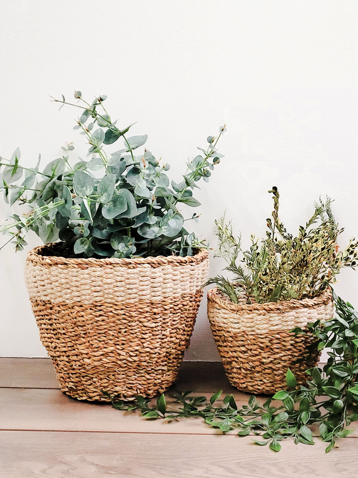 Savar Natural Seagrass Planter