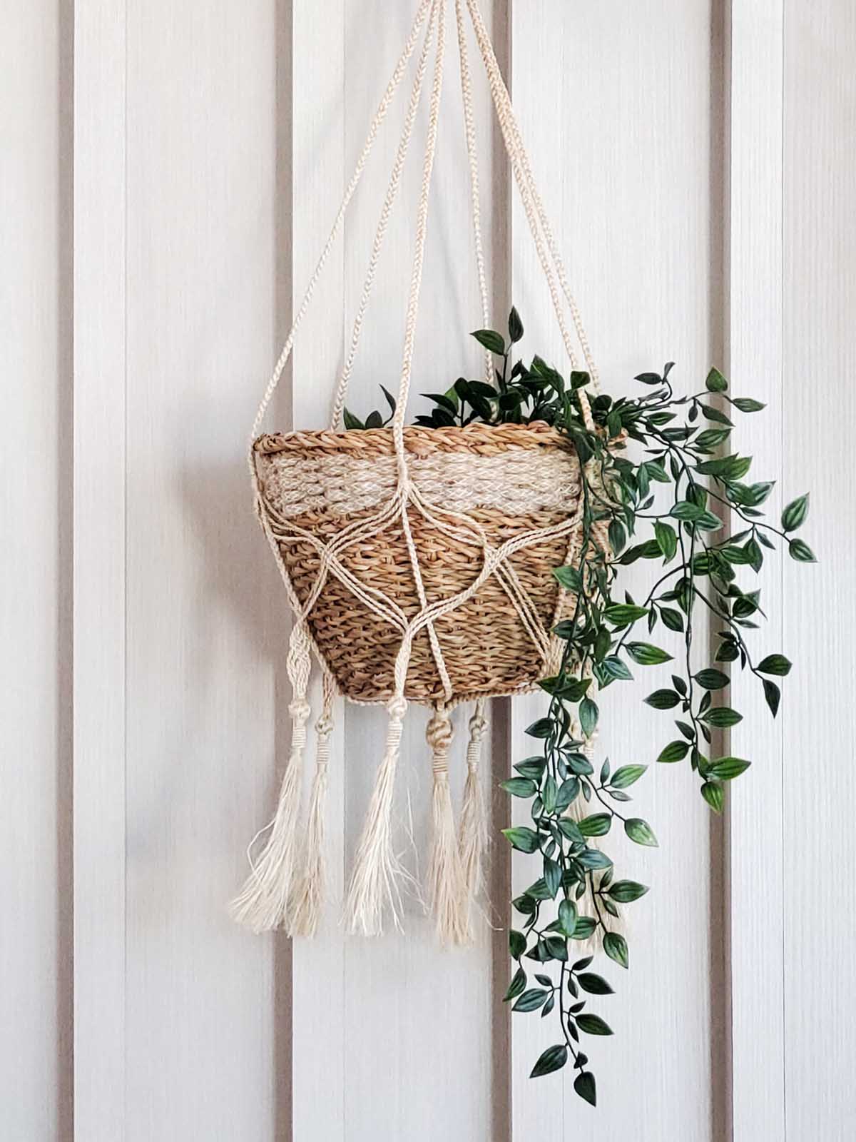 Natural Jute Plant Hanger