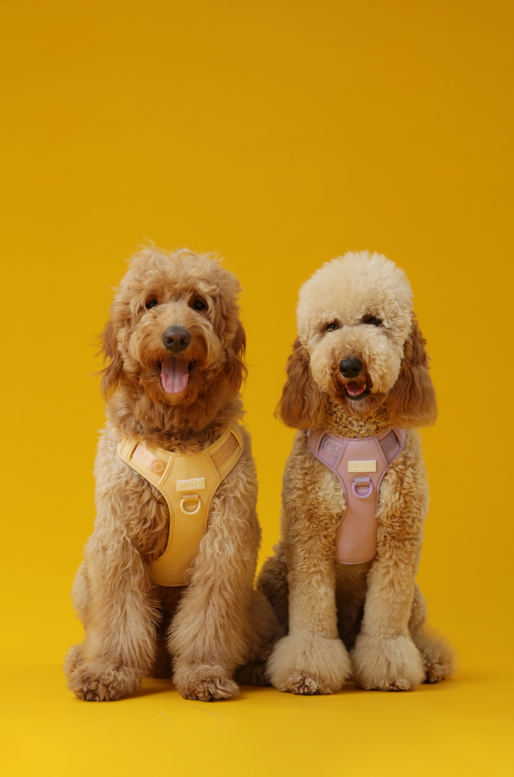 No Pull Active Pet Harness in Apricot