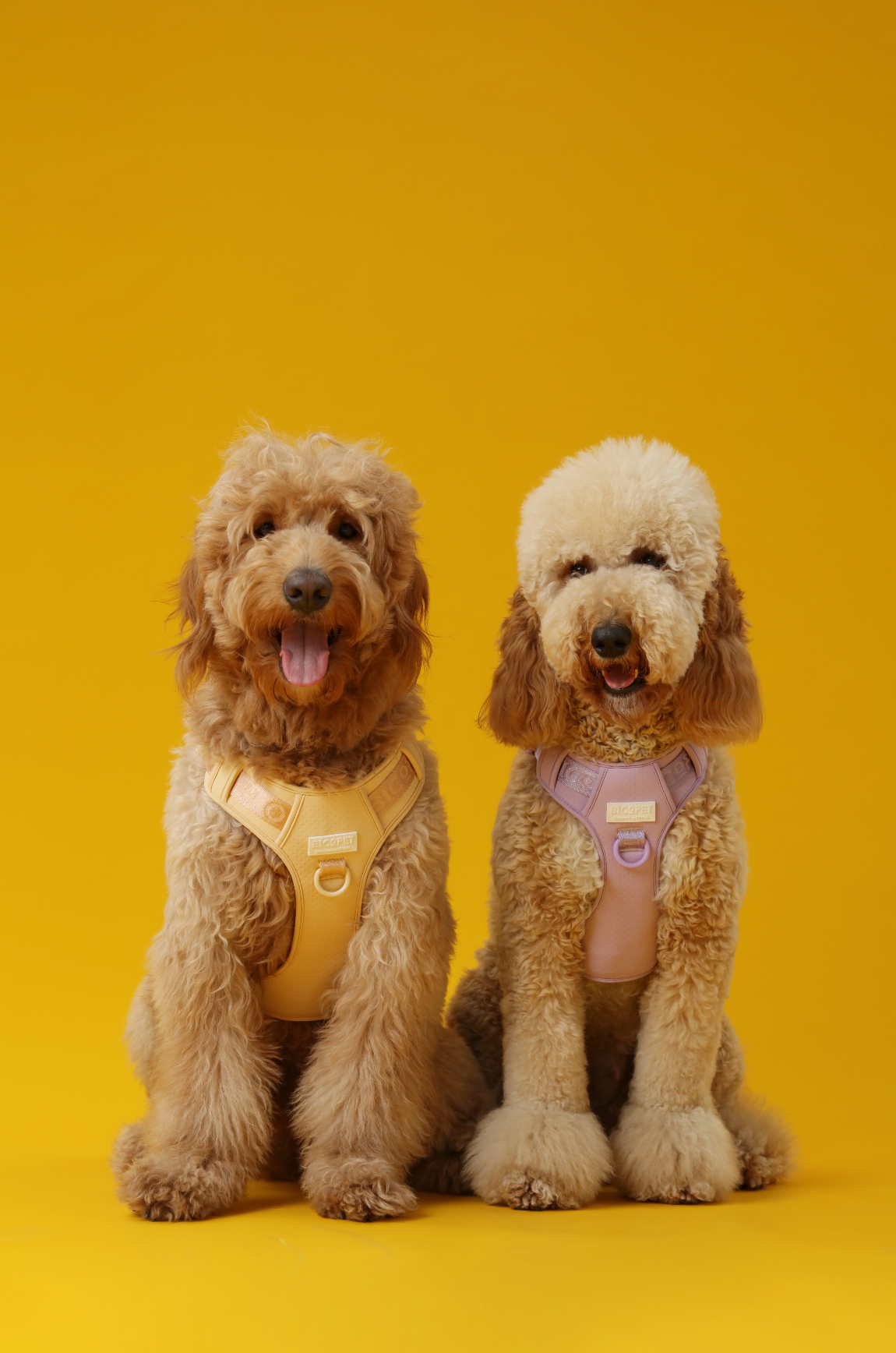 No Pull Active Pet Harness in Apricot