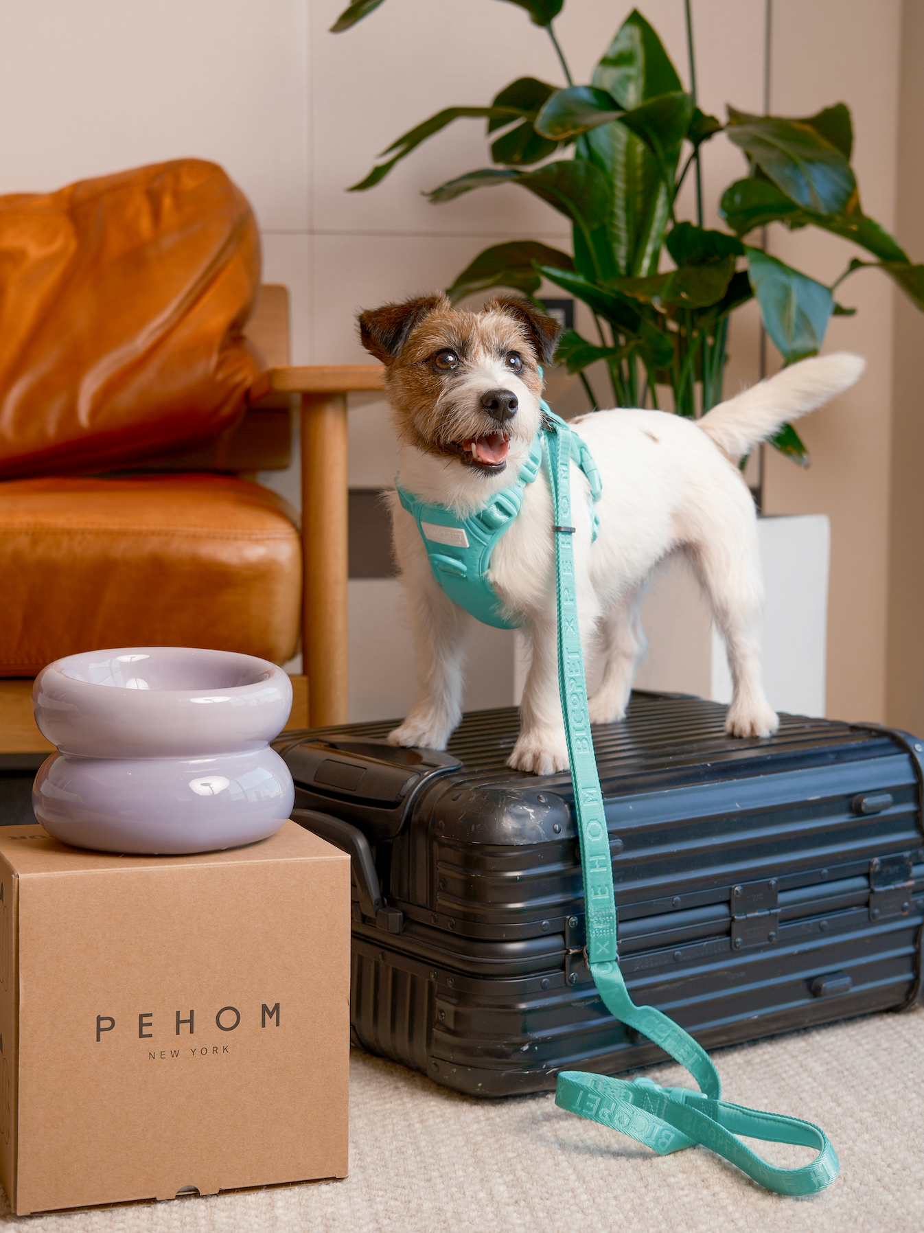 Padded Active Pet Leash in Mint Green