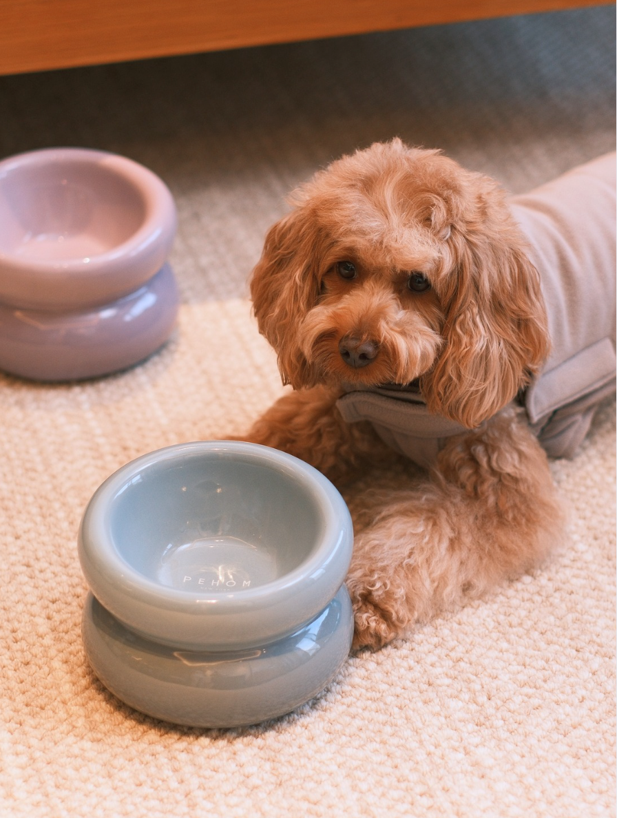 Souffle Pet Bowl in Frozen Blue