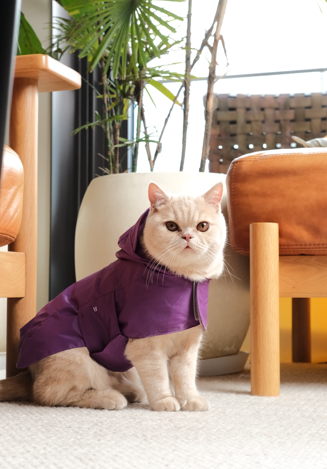 Capsule Raincoat in Blue for Dogs and Cats