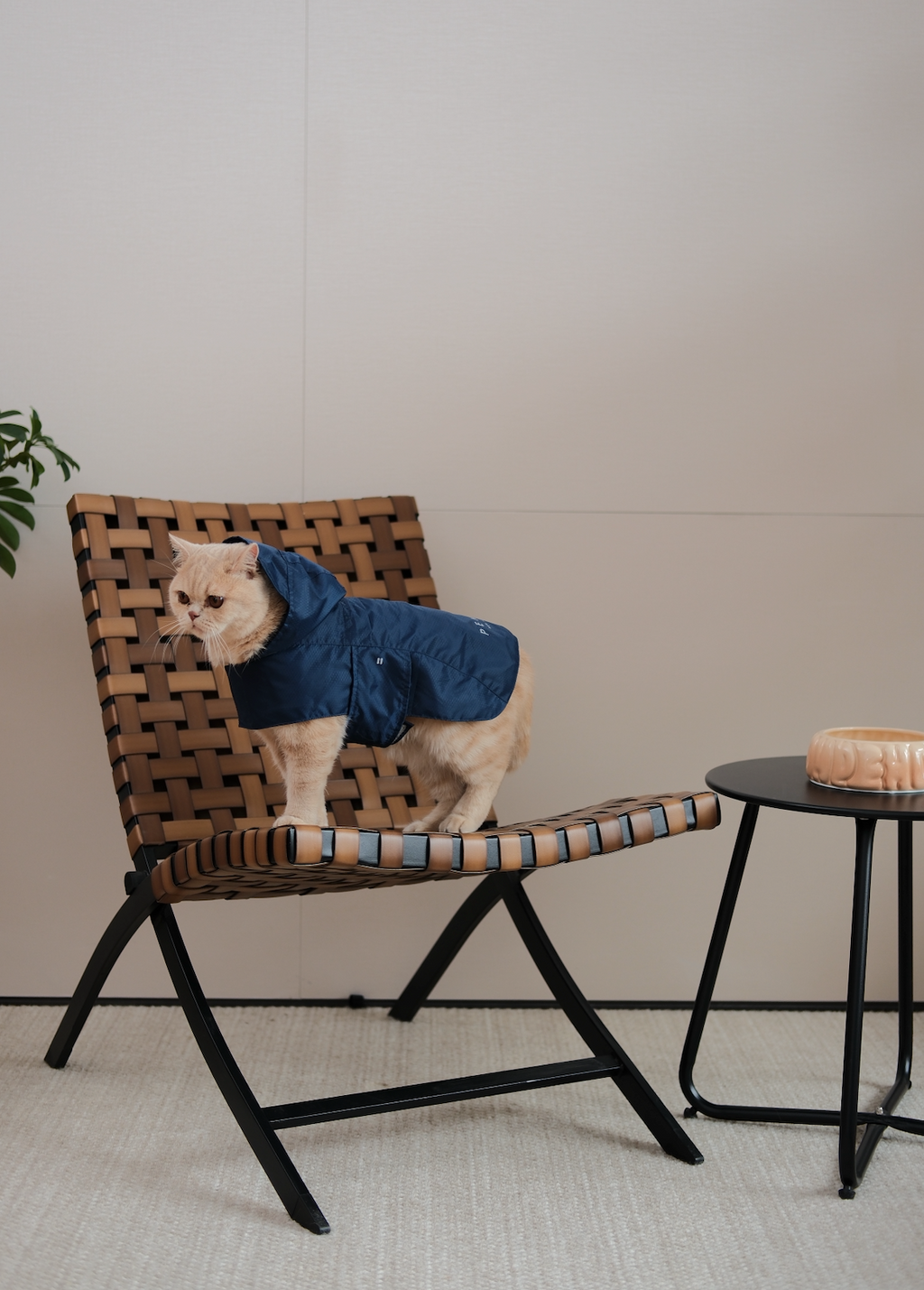 Capsule Raincoat in Blue for Dogs and Cats