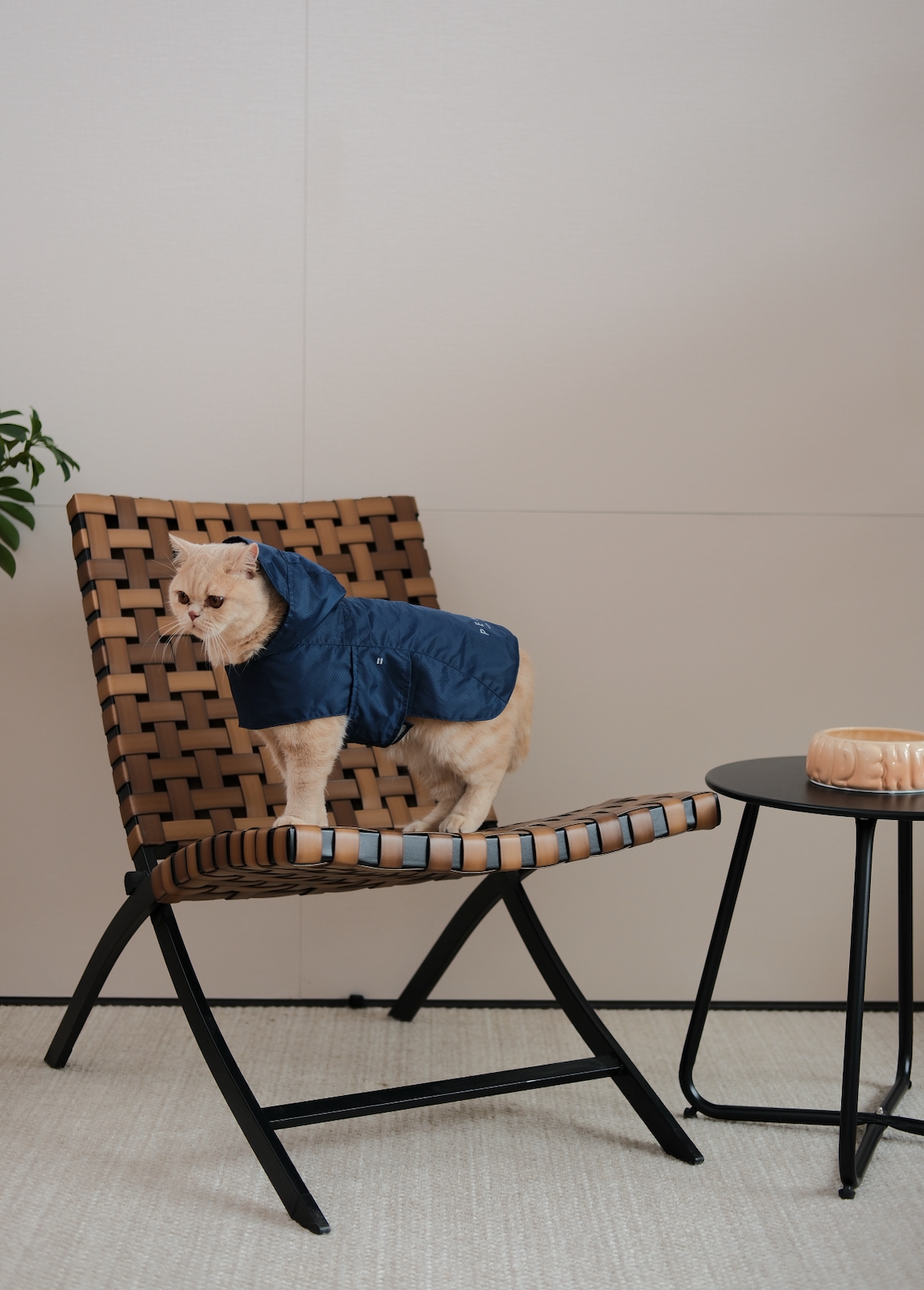 Capsule Raincoat in Blue for Dogs and Cats