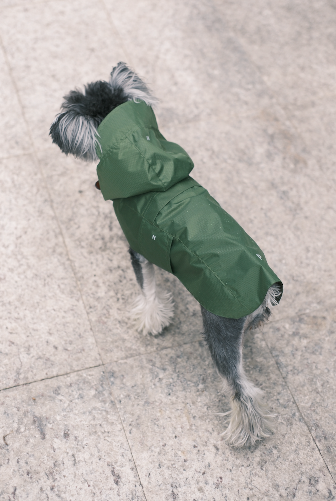 Capsule Raincoat in Green