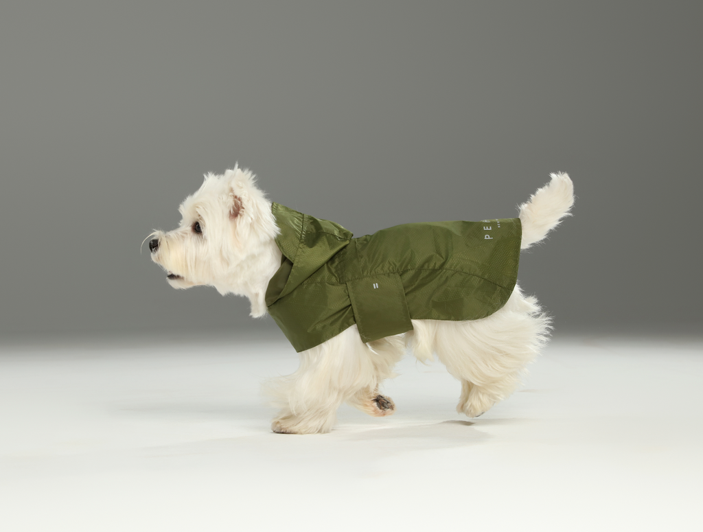 Capsule Raincoat in Green
