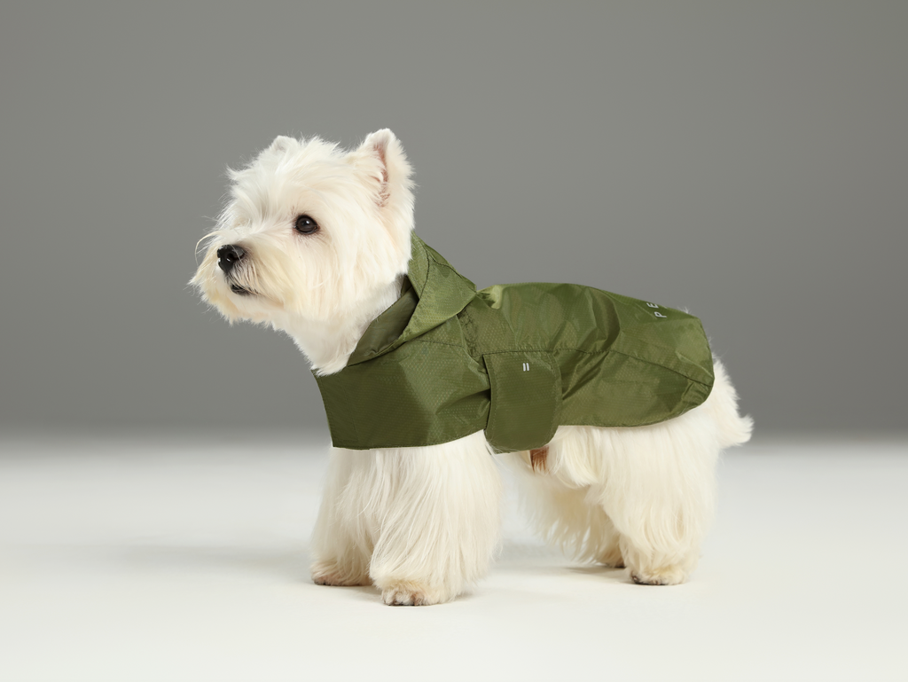 Capsule Raincoat in Green
