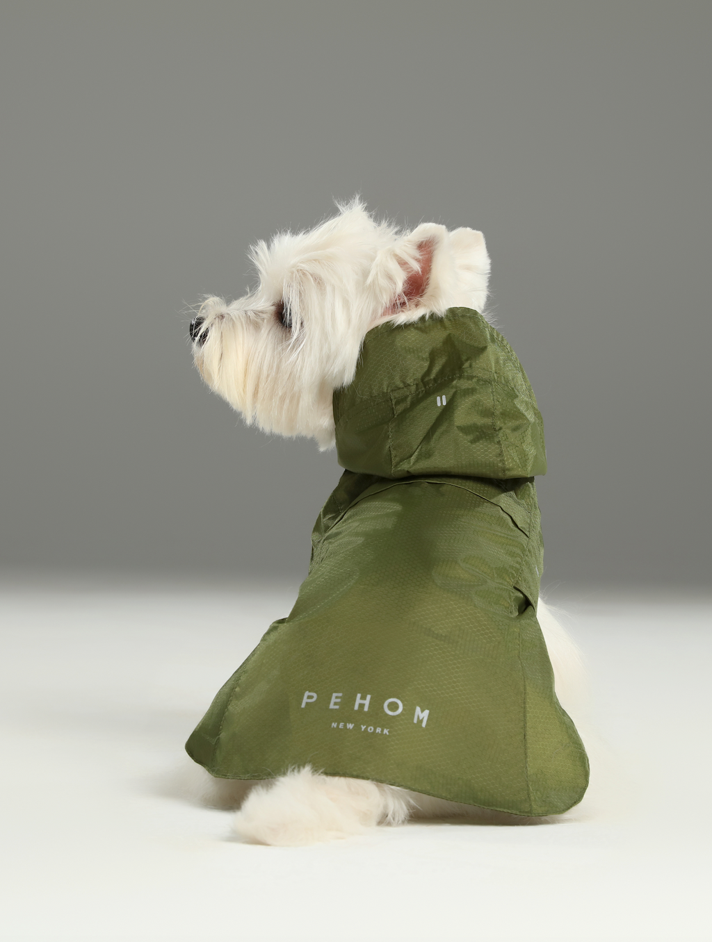 Capsule Raincoat in Green