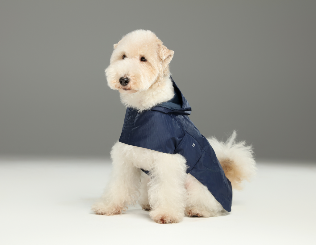 Capsule Raincoat in Blue for Dogs and Cats