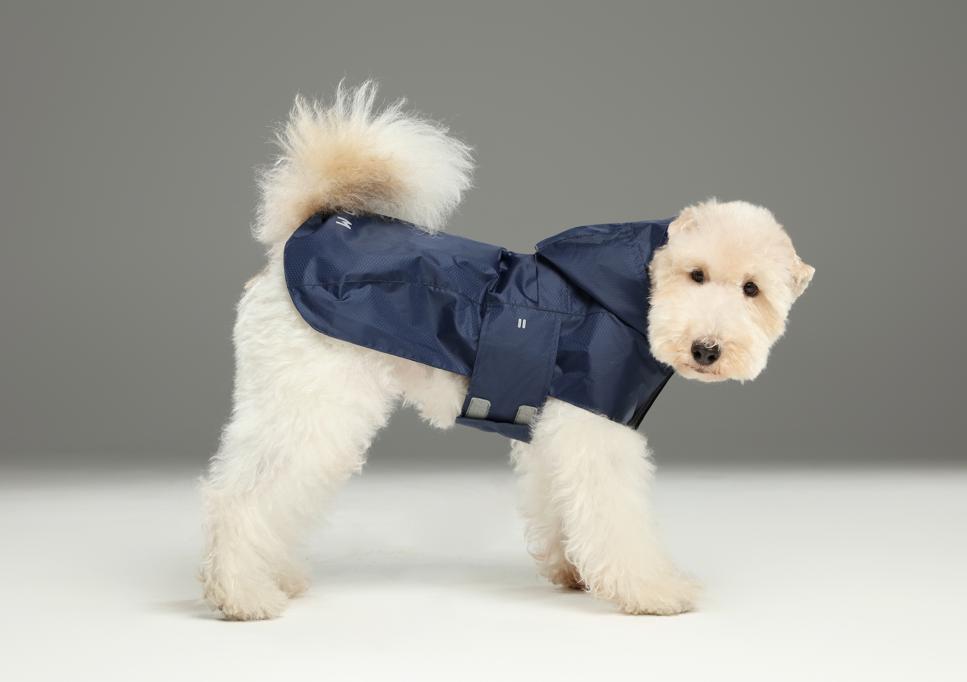 Capsule Raincoat in Blue for Dogs and Cats