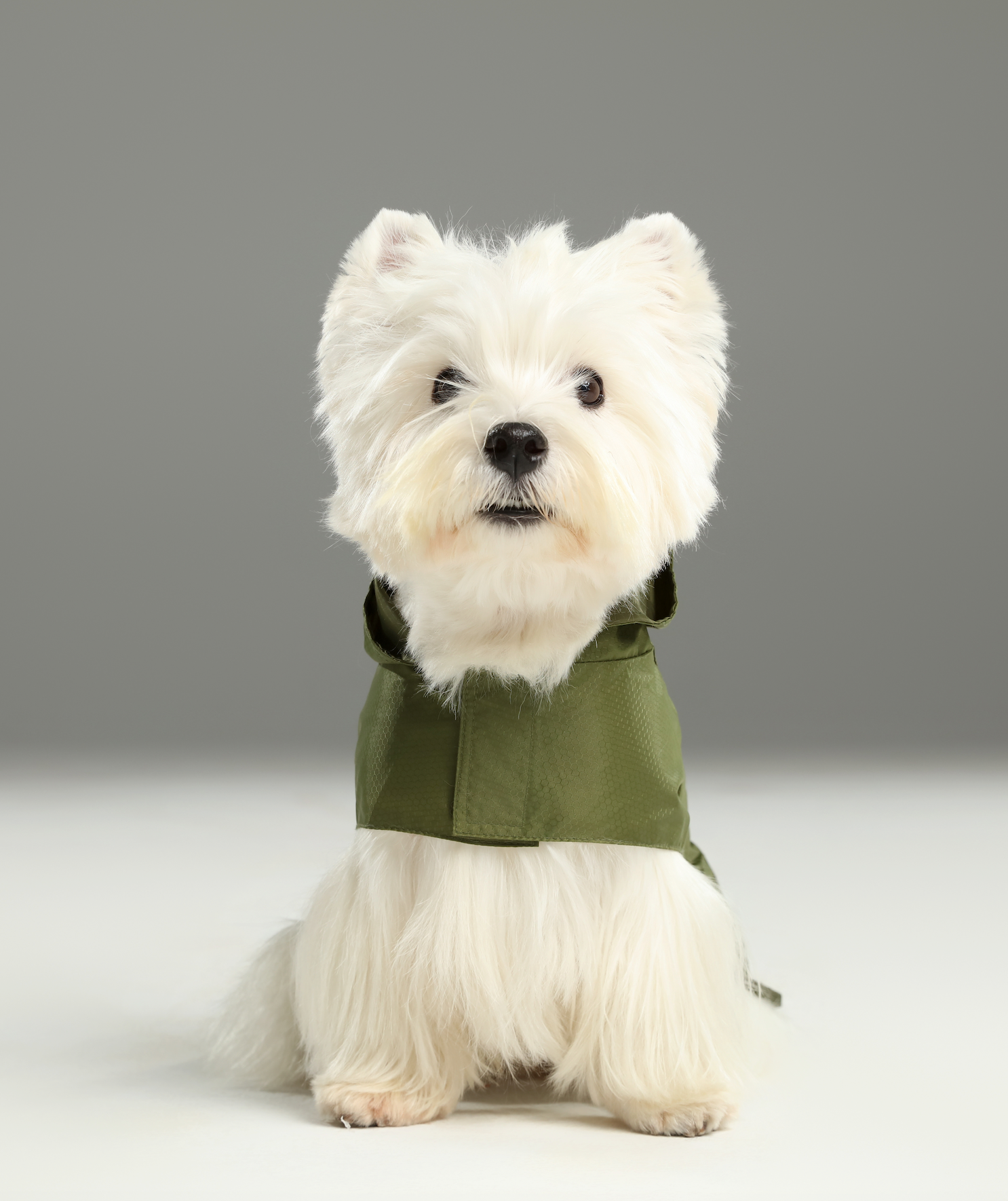 Capsule Raincoat in Green