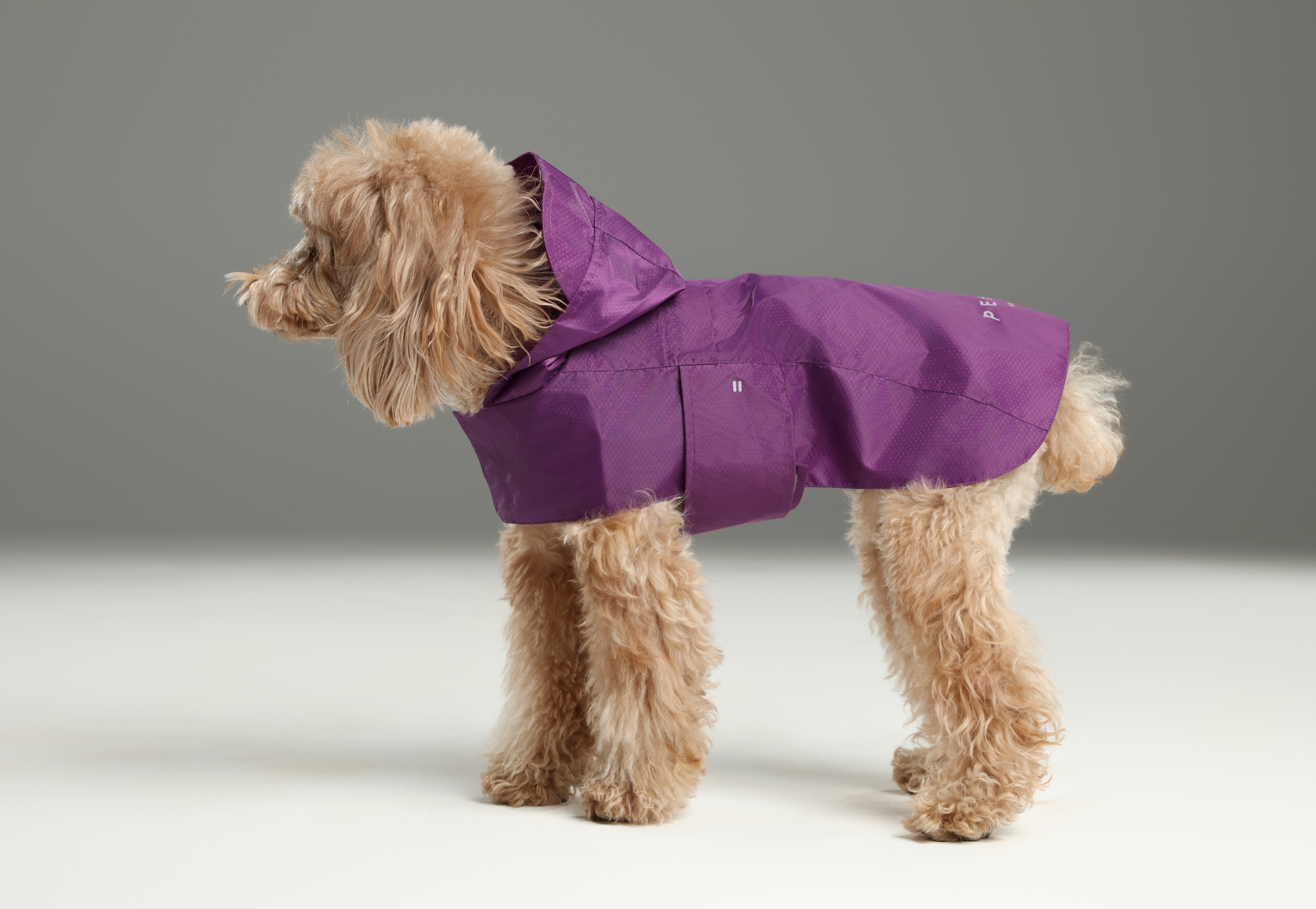 Purple Capsule Raincoat for Dogs and Cats