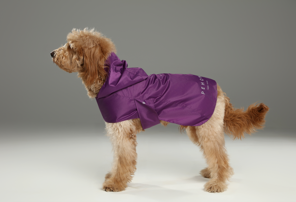 Purple Capsule Raincoat for Dogs and Cats