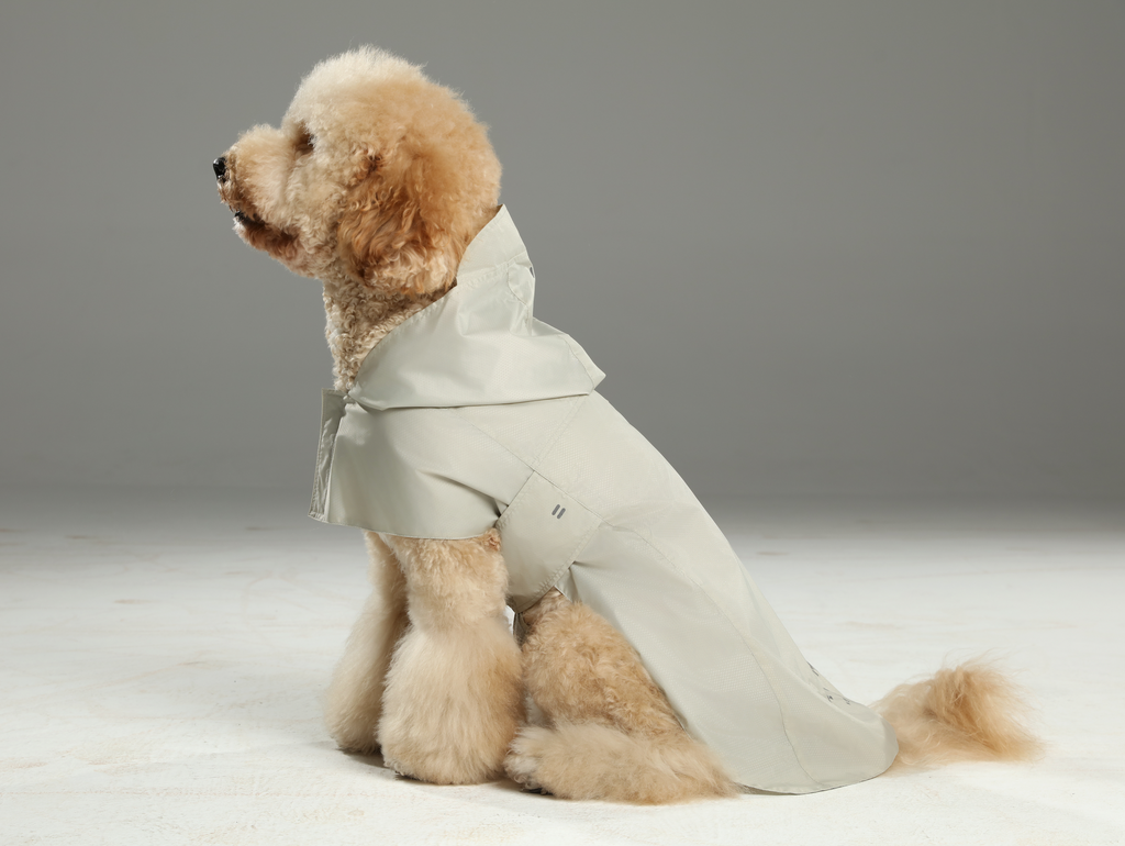 Capsule Raincoat in Beige