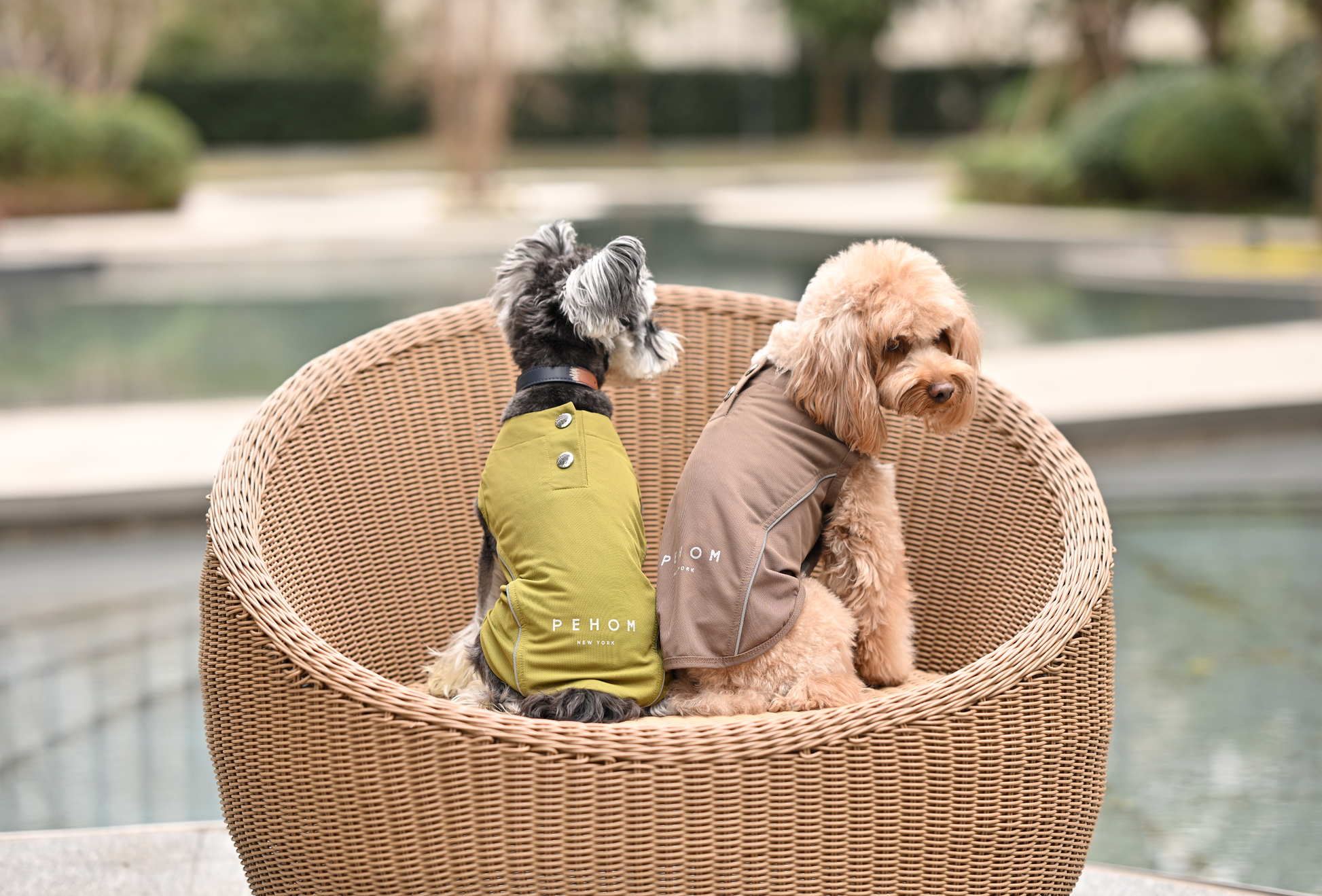 Chill Vest Shirt in Mocha for Dogs and Cats