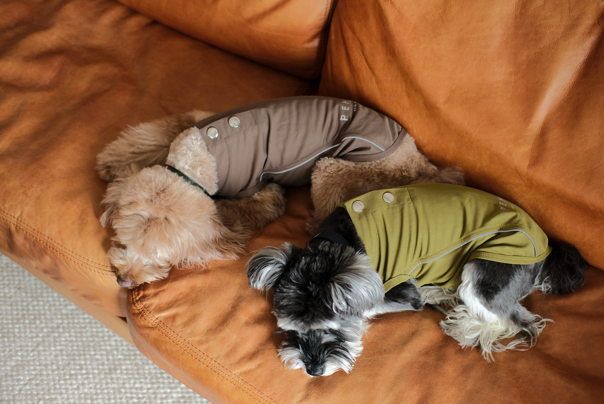 Chill Vest Shirt in Mocha