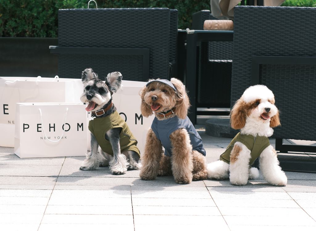 Chill Vest Shirt in Blue for Dogs and Cats