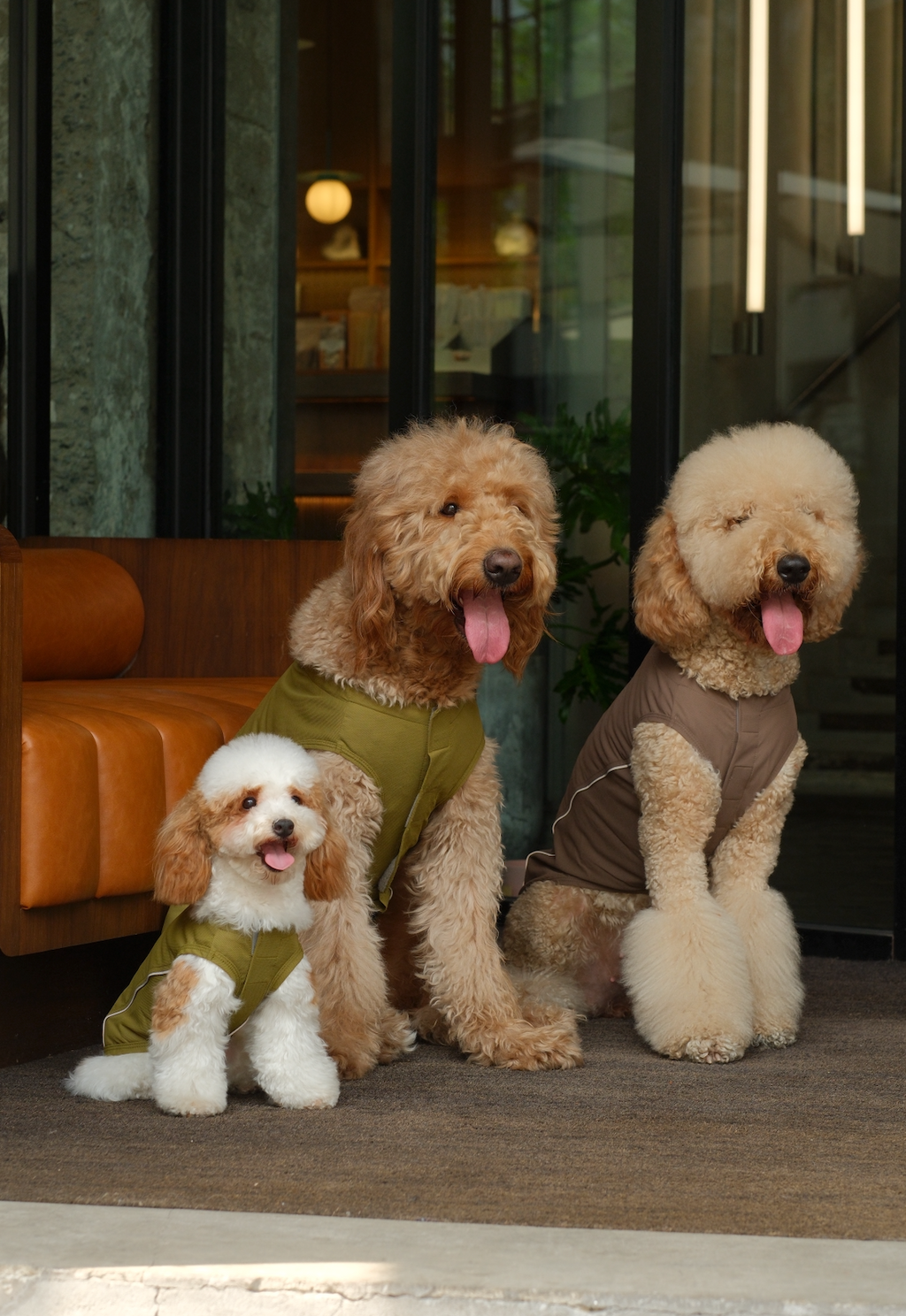 Chill Vest Shirt in Mocha for Dogs and Cats