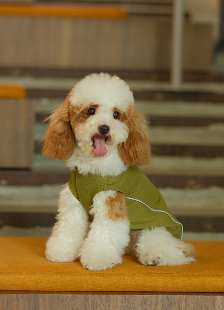 Chill Vest Shirt in Green