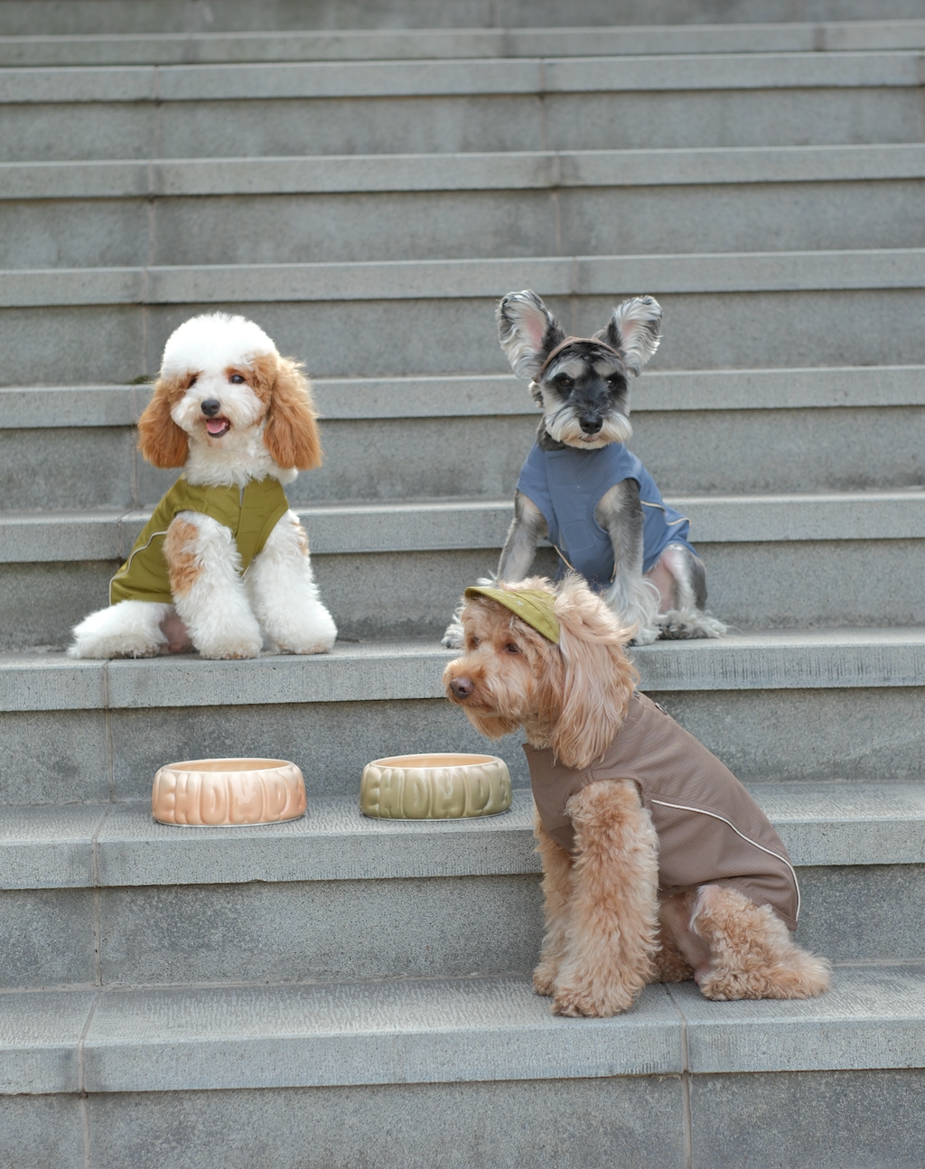 Chill Vest Shirt in Blue for Dogs and Cats