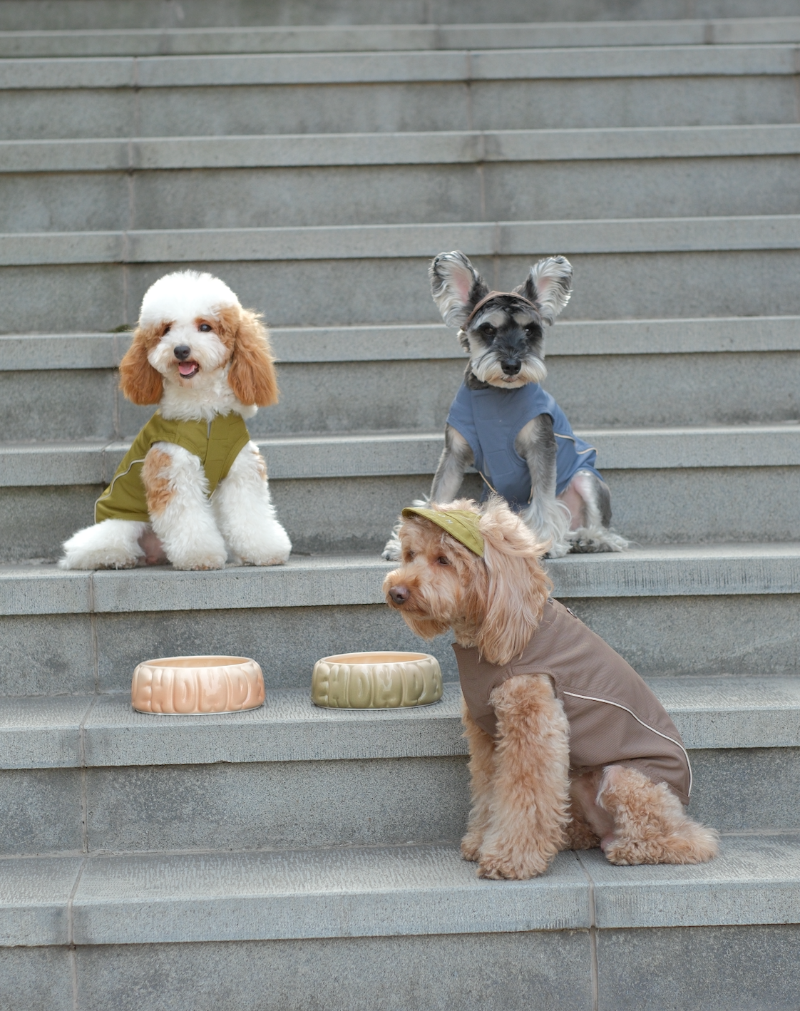 Chill Vest Shirt in Mocha for Dogs and Cats