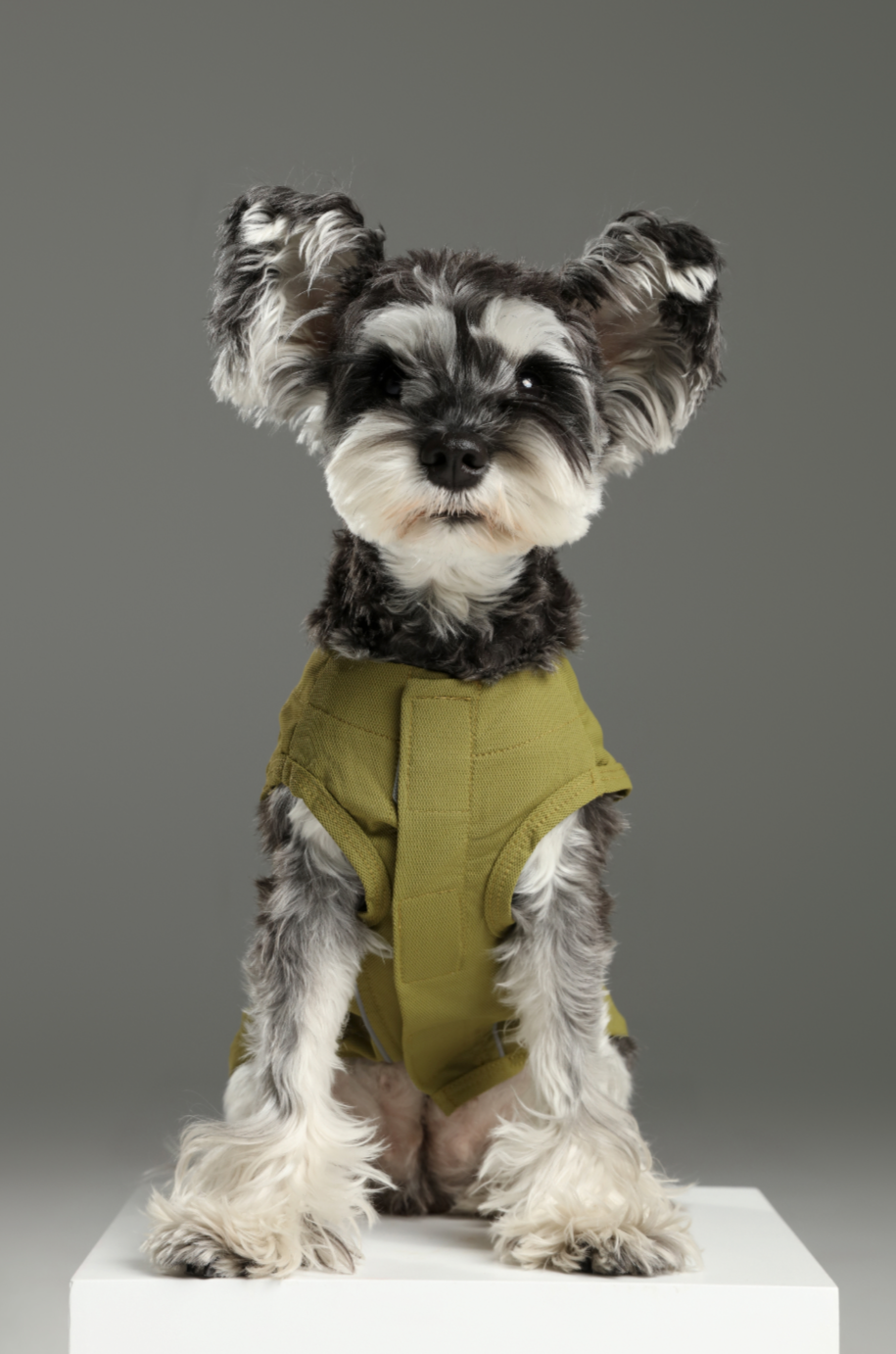 Chill Vest Shirt in Green