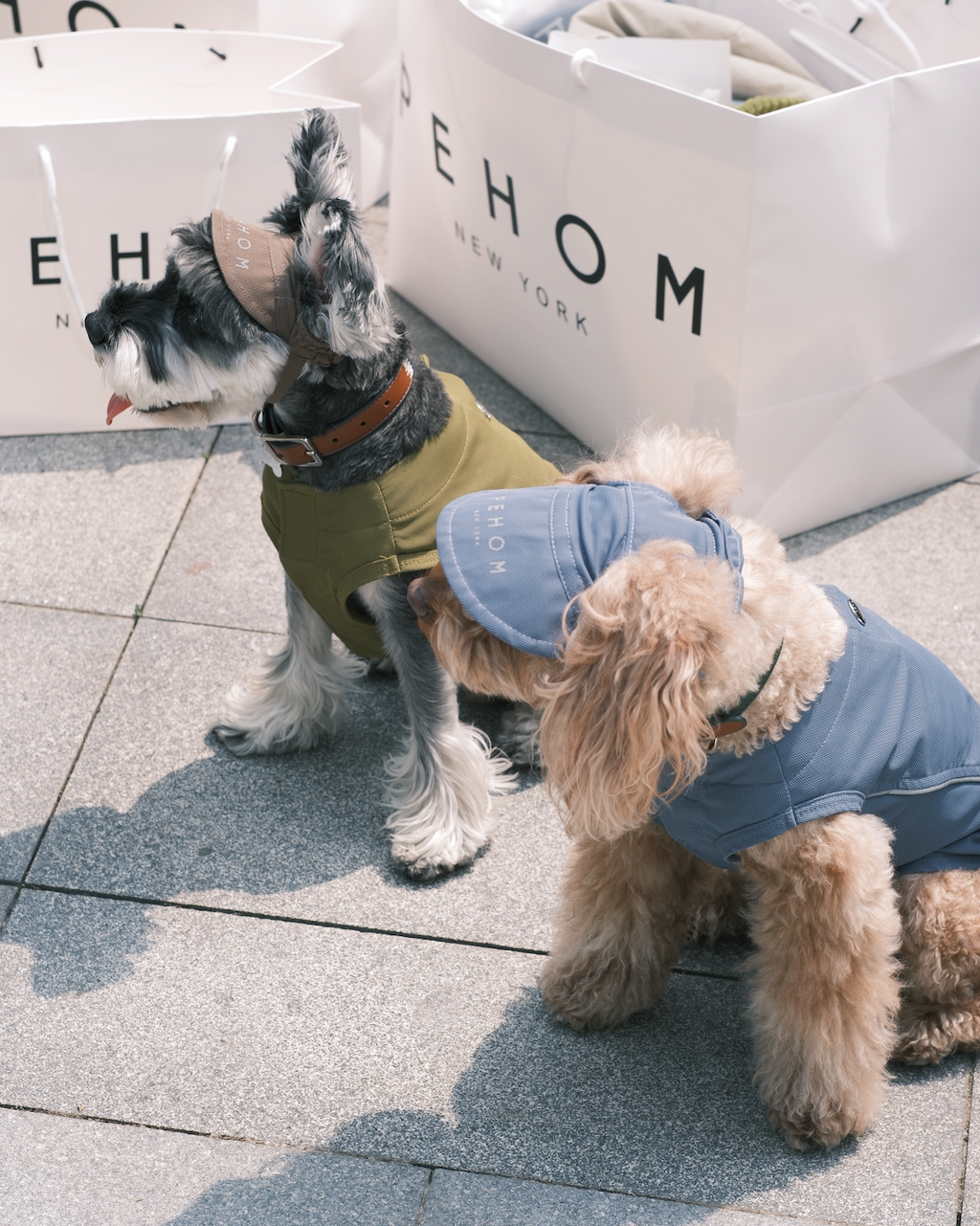 Mocha Tennis Hat for Pets