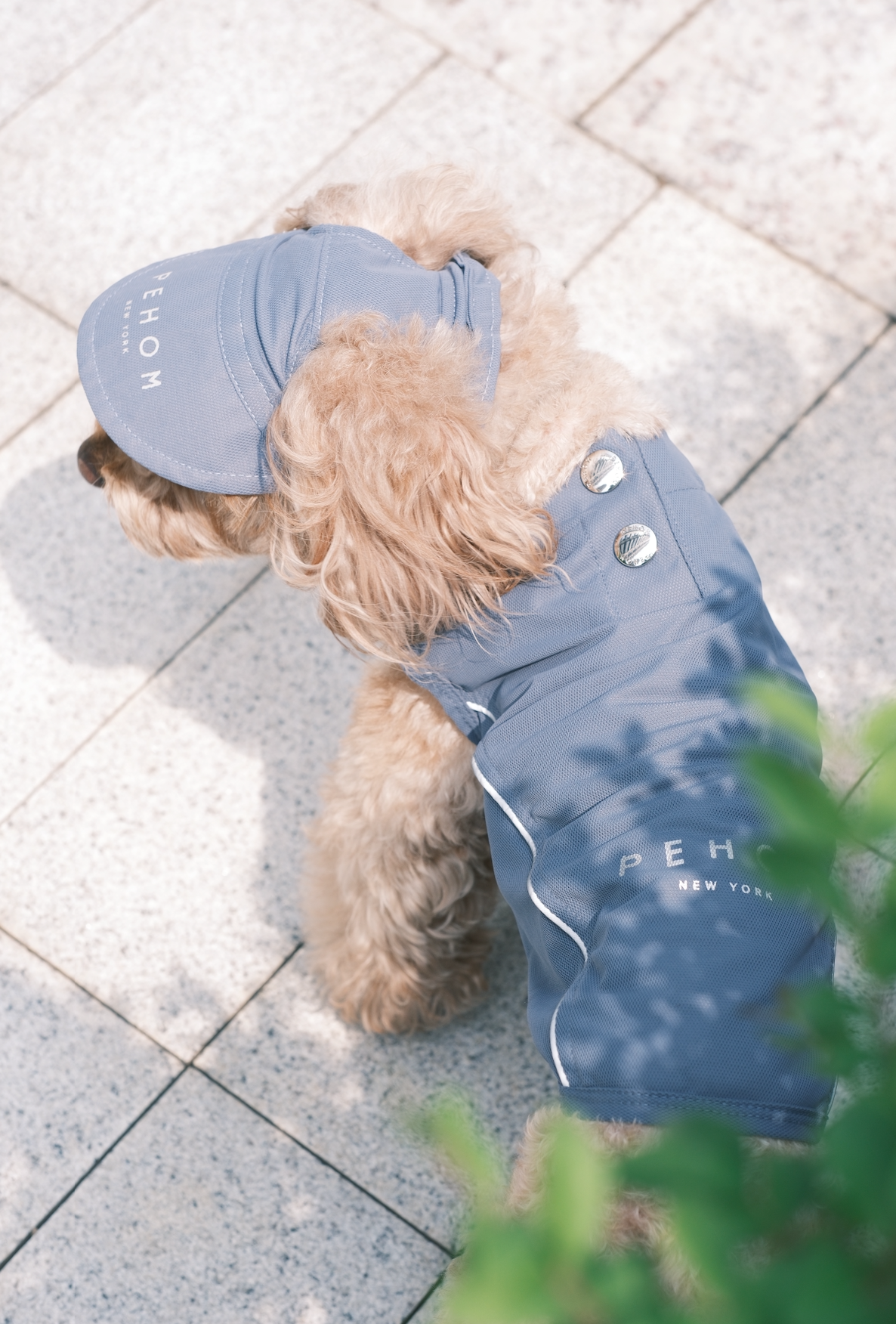 Mocha Tennis Hat for Pets