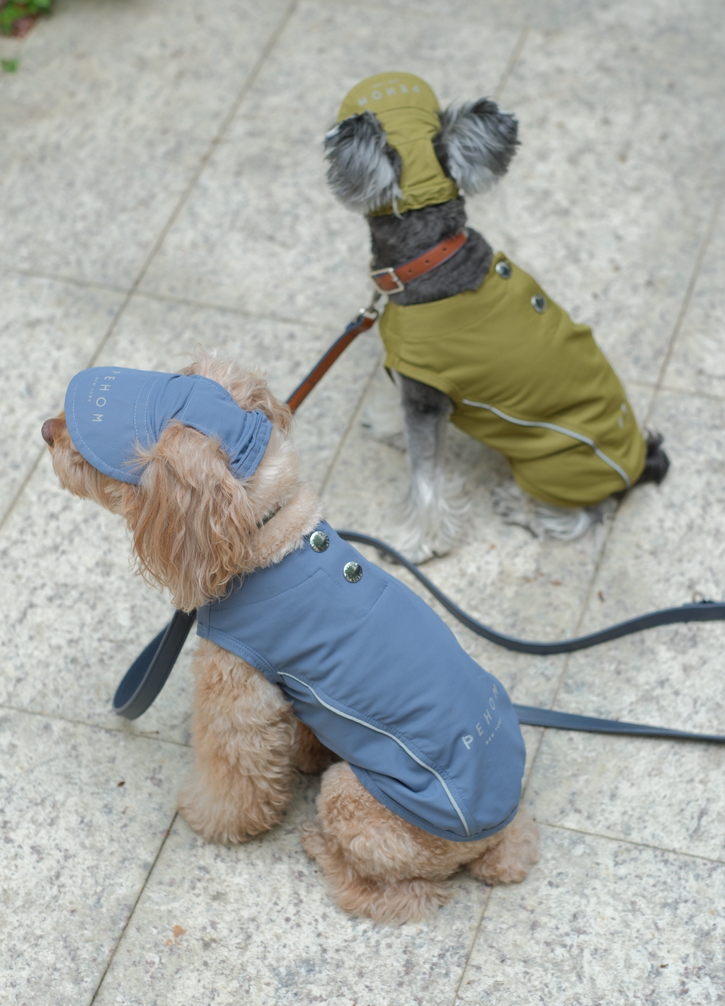 Mocha Tennis Hat for Pets