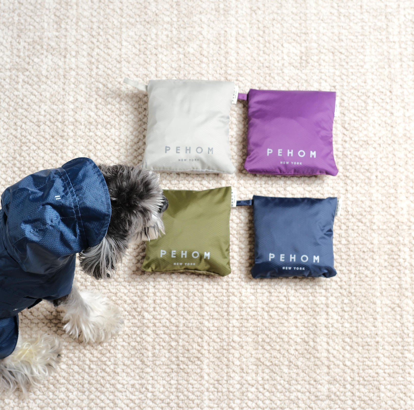 Purple Capsule Raincoat for Dogs and Cats