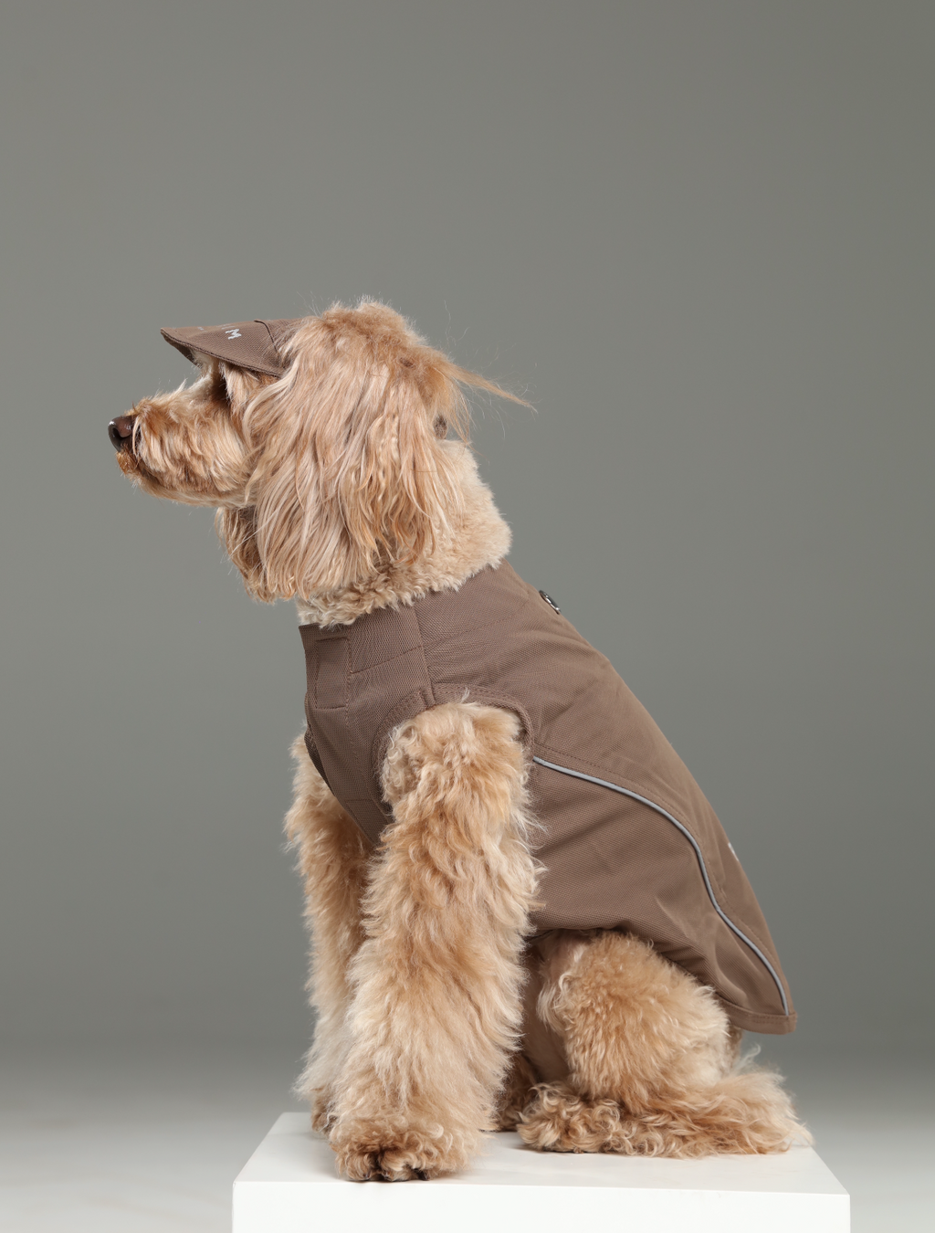 Mocha Tennis Hat for Pets