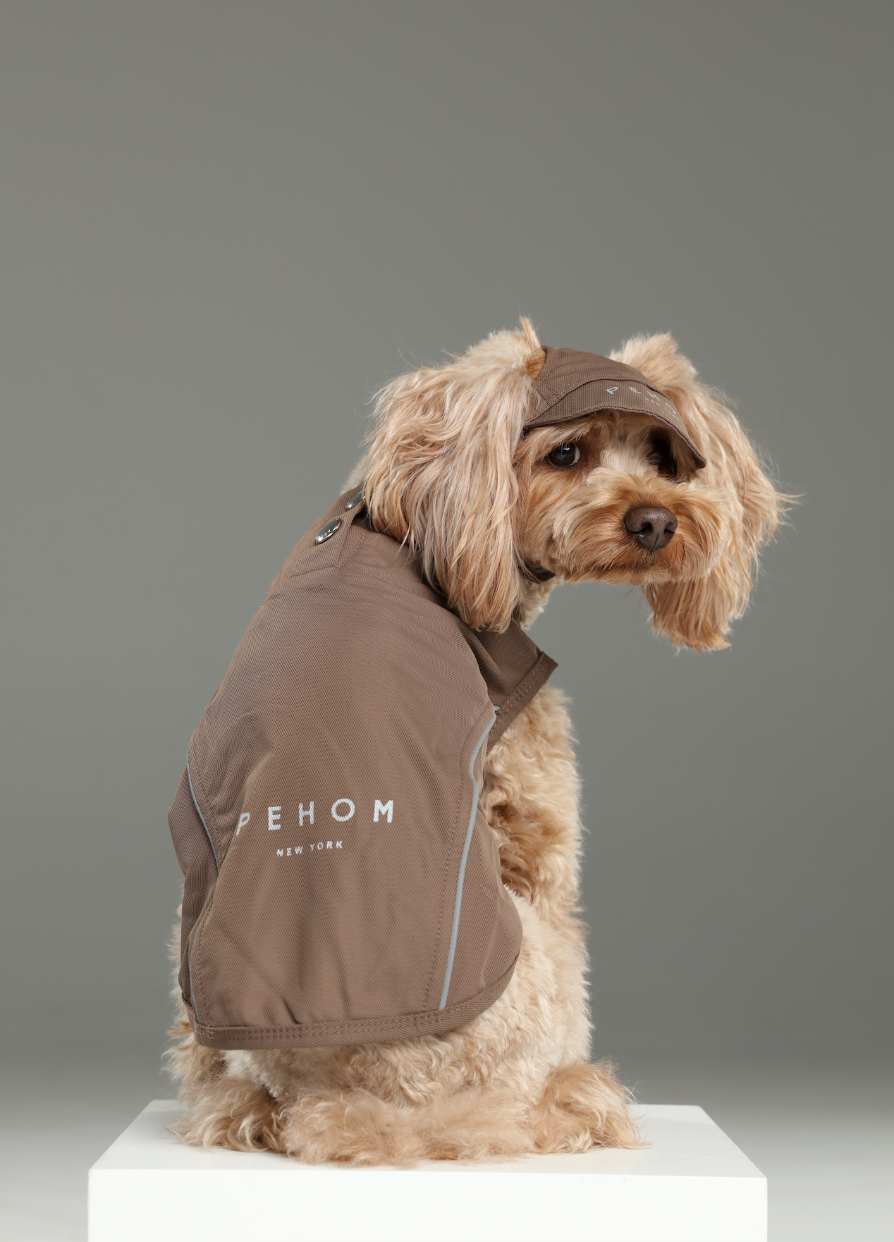 Mocha Tennis Hat for Pets