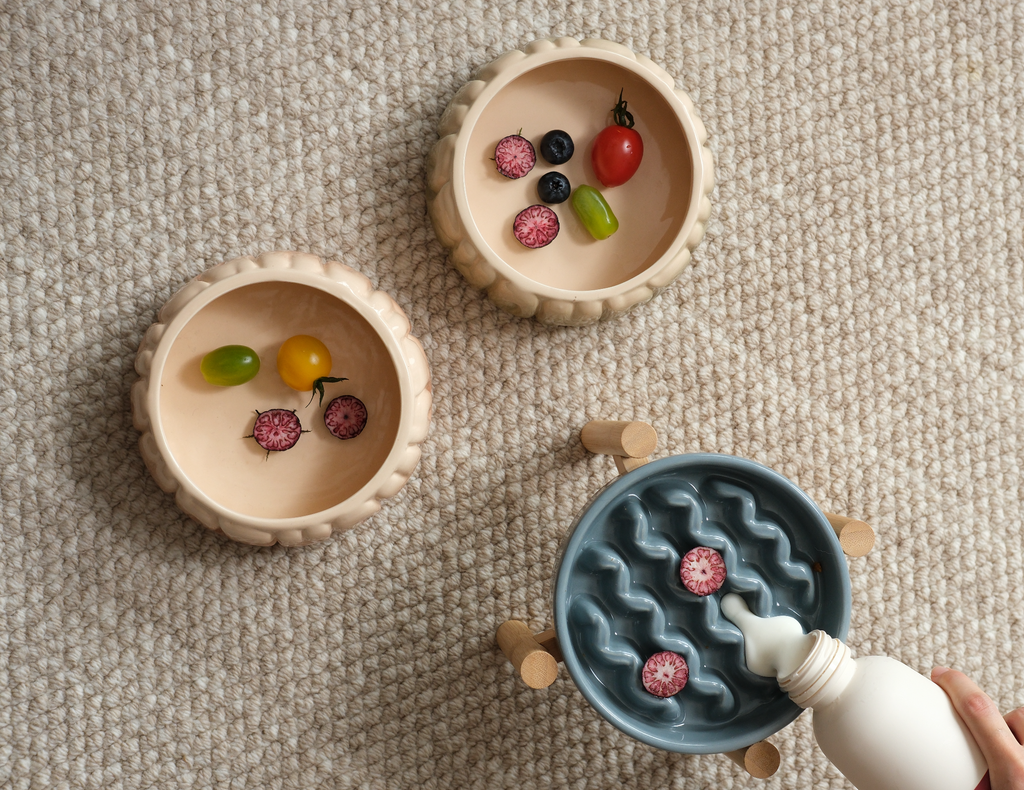 Macaroni Slow Feeder Dog Bowl with Non Slip Base