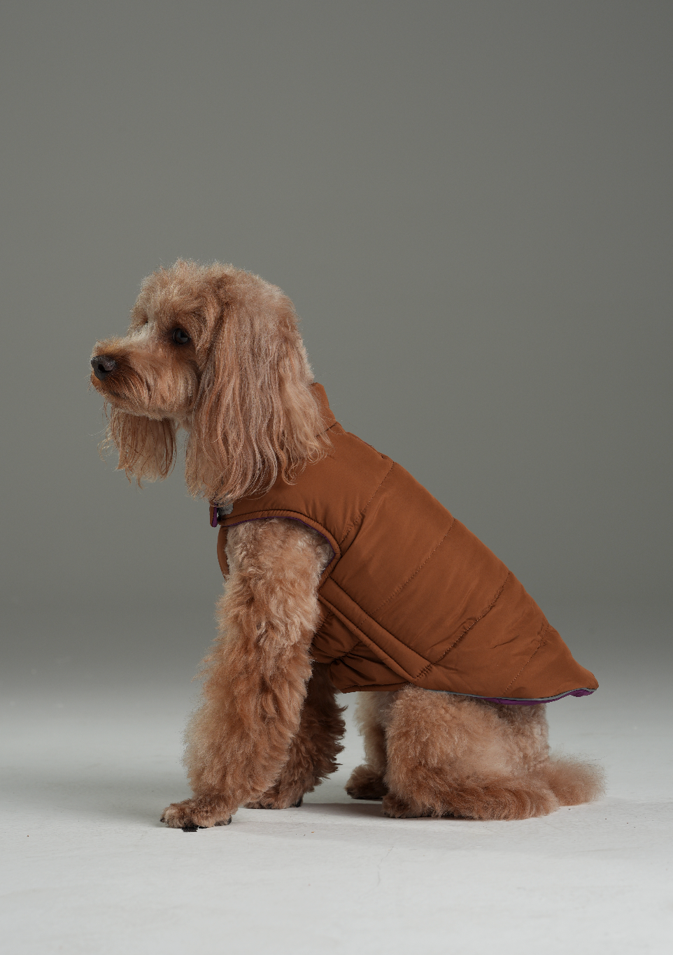 Reversible Dog Vest Jacket in Purple Caramel