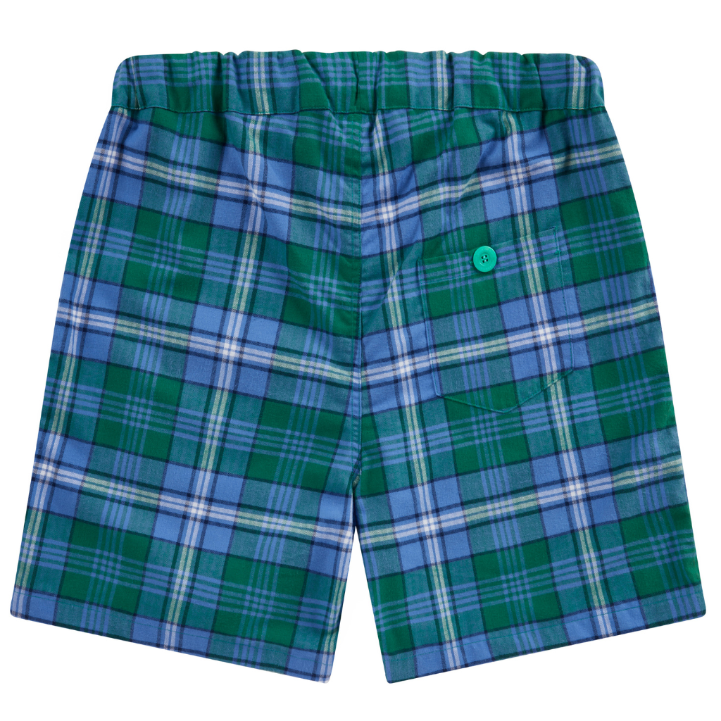 Green Sea Turtle long shorts