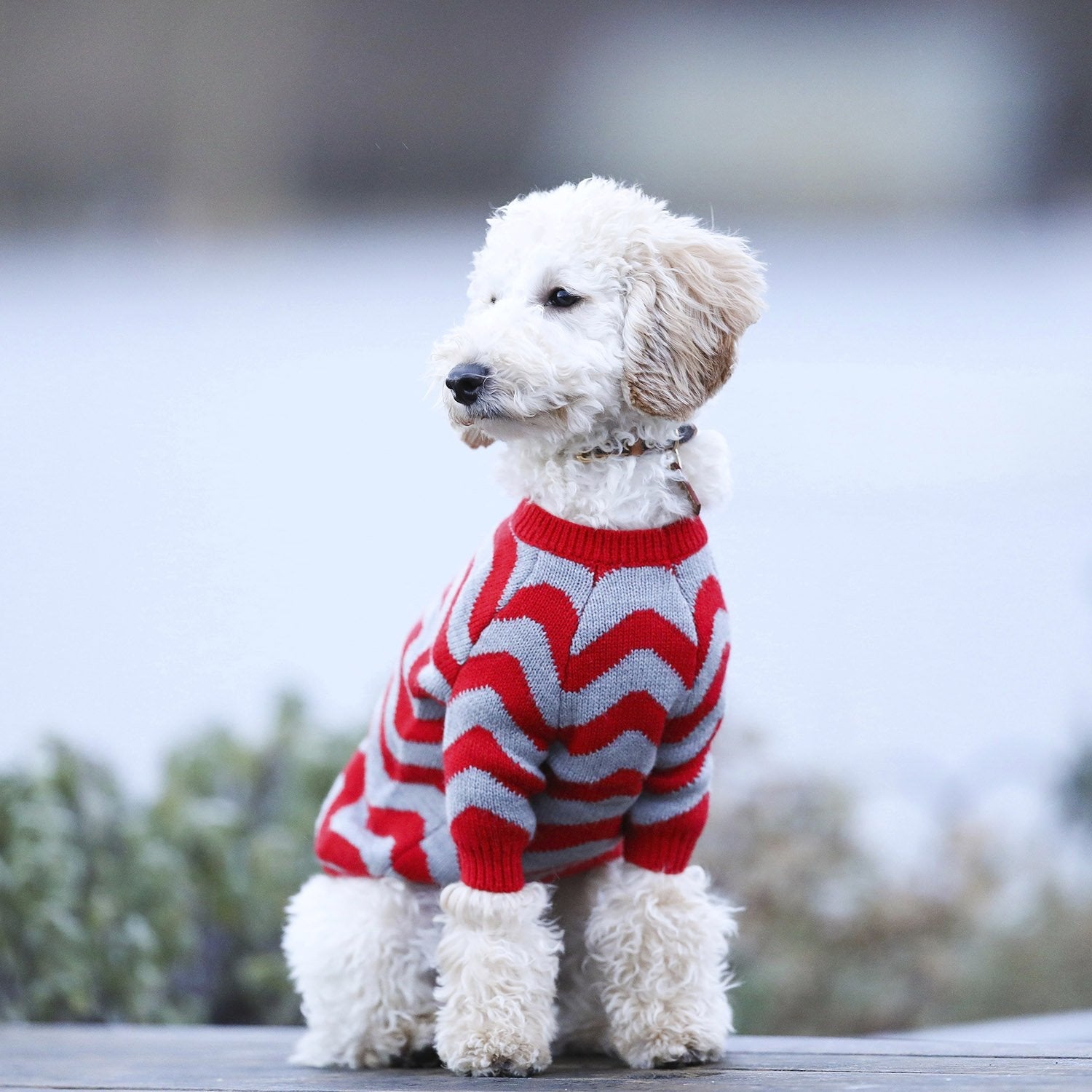 Zig Zag Jumper in Red and Black