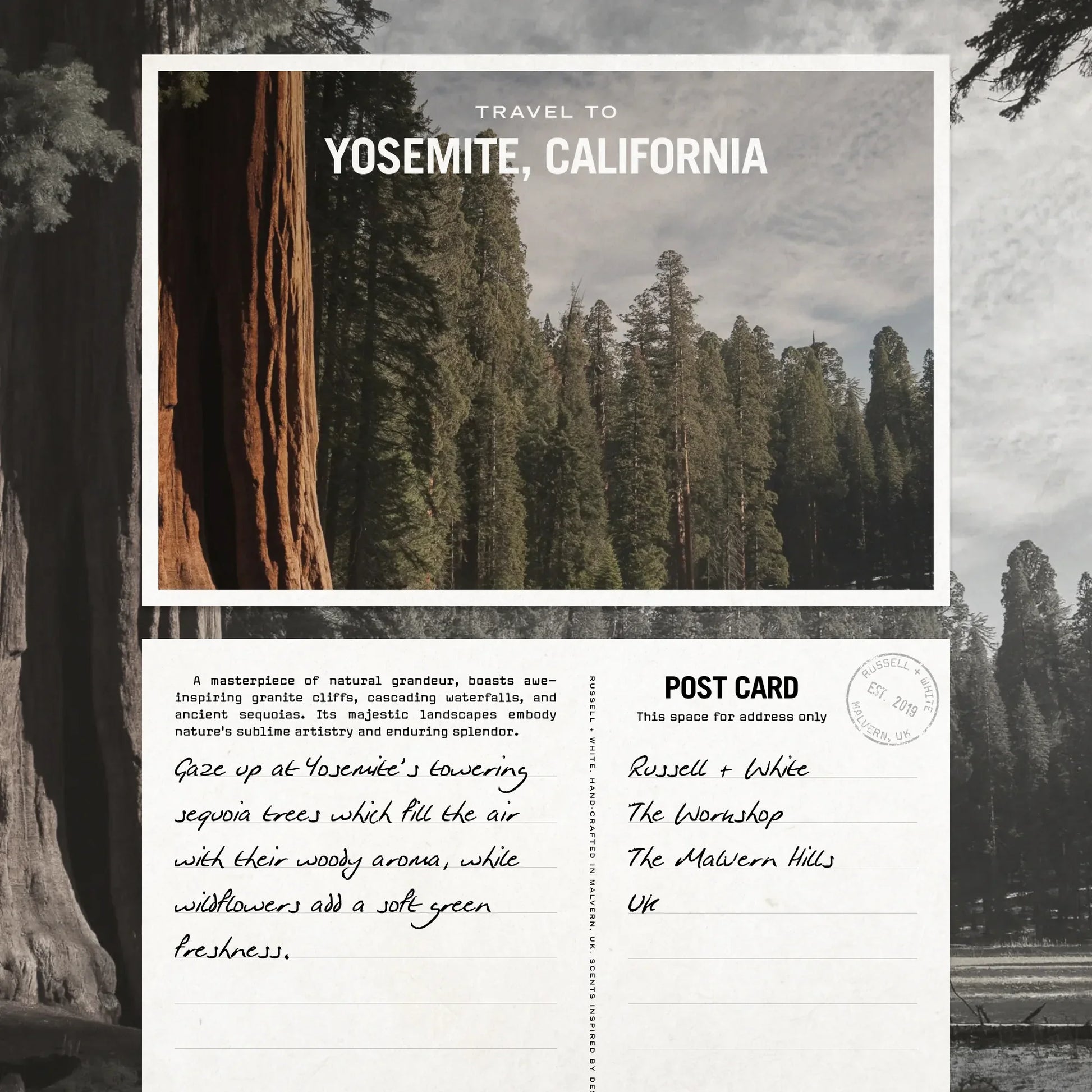 Sequoia 100ml Reed Diffuser