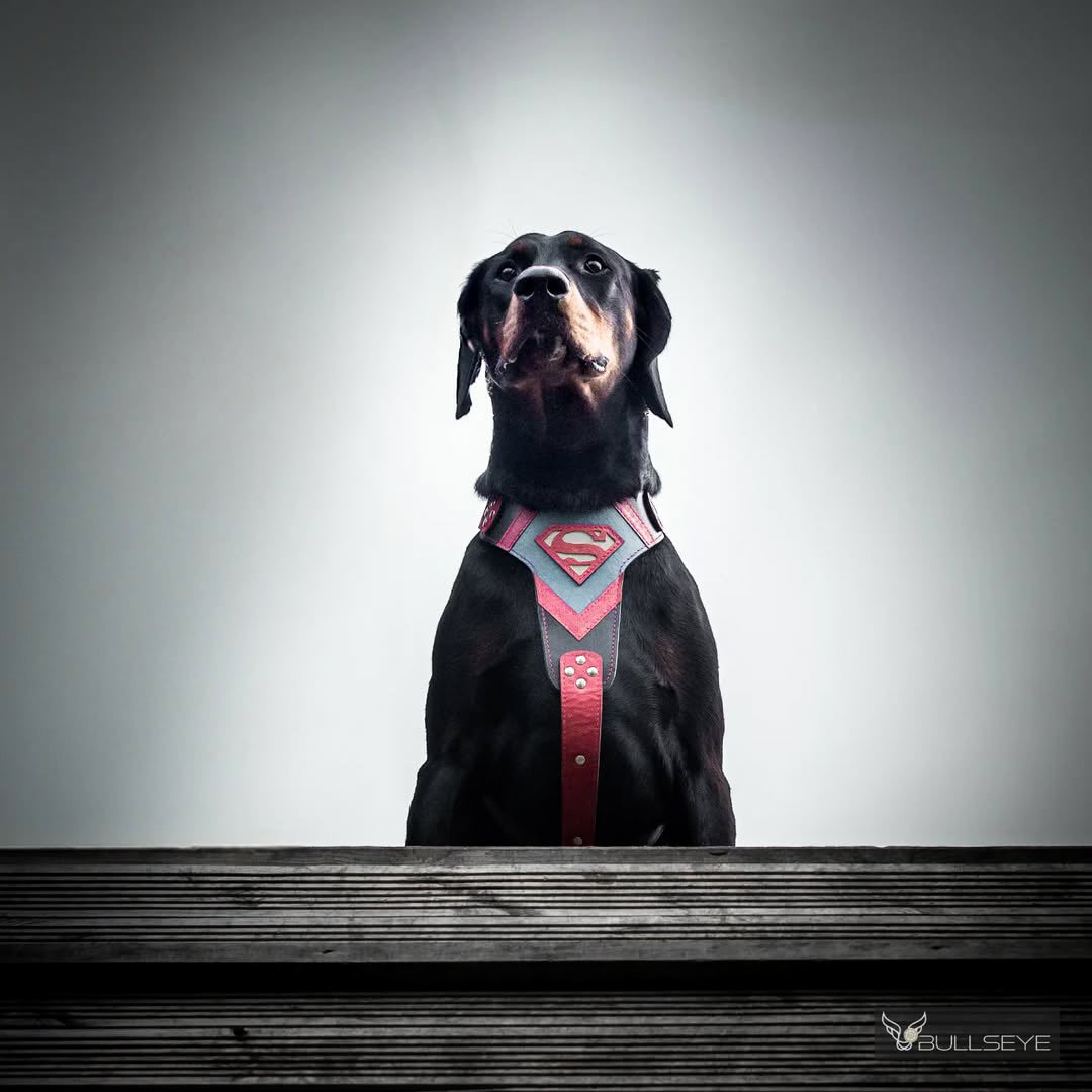 Superdog Harness for Medium to Giant Dogs