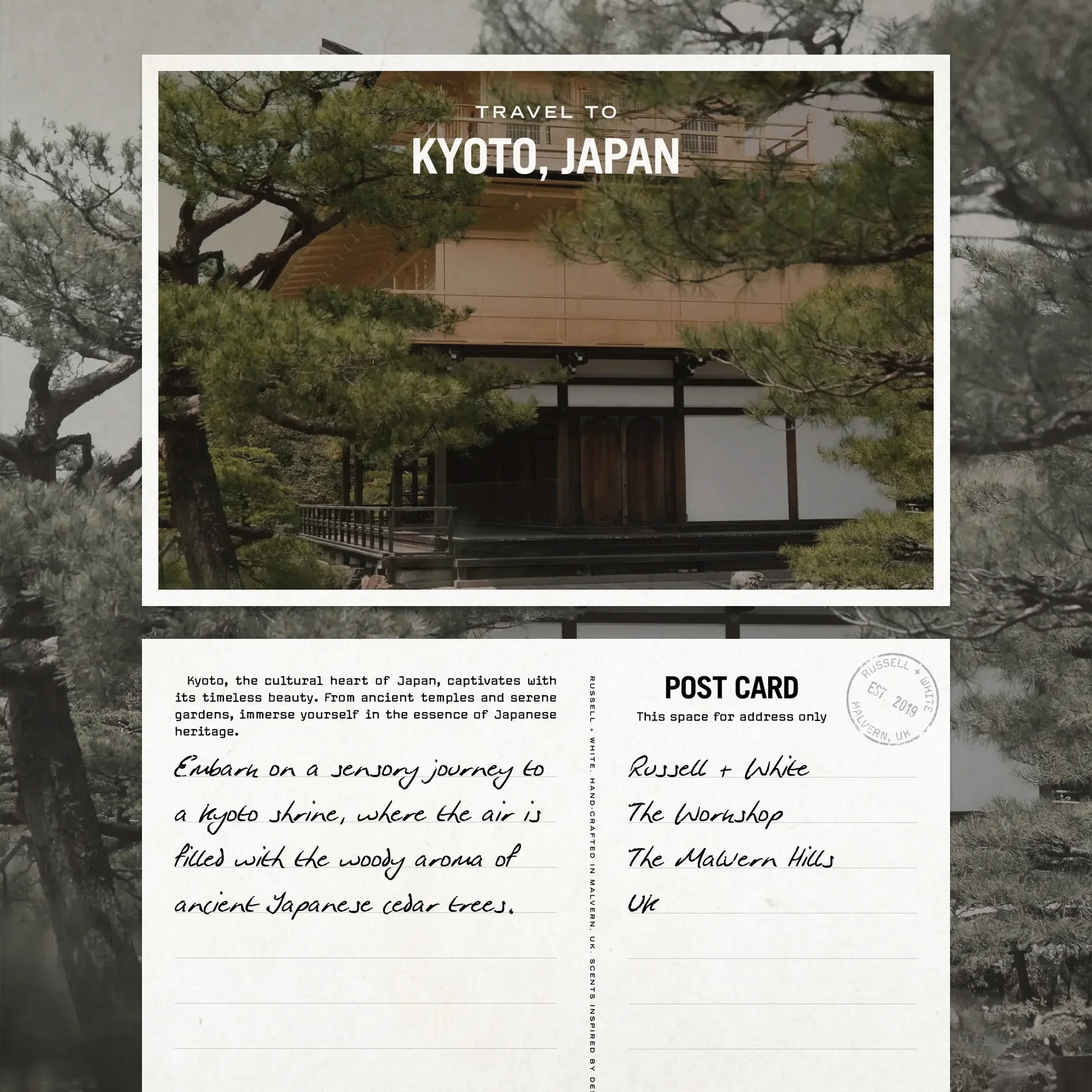 Sugi 250g Scented Candle