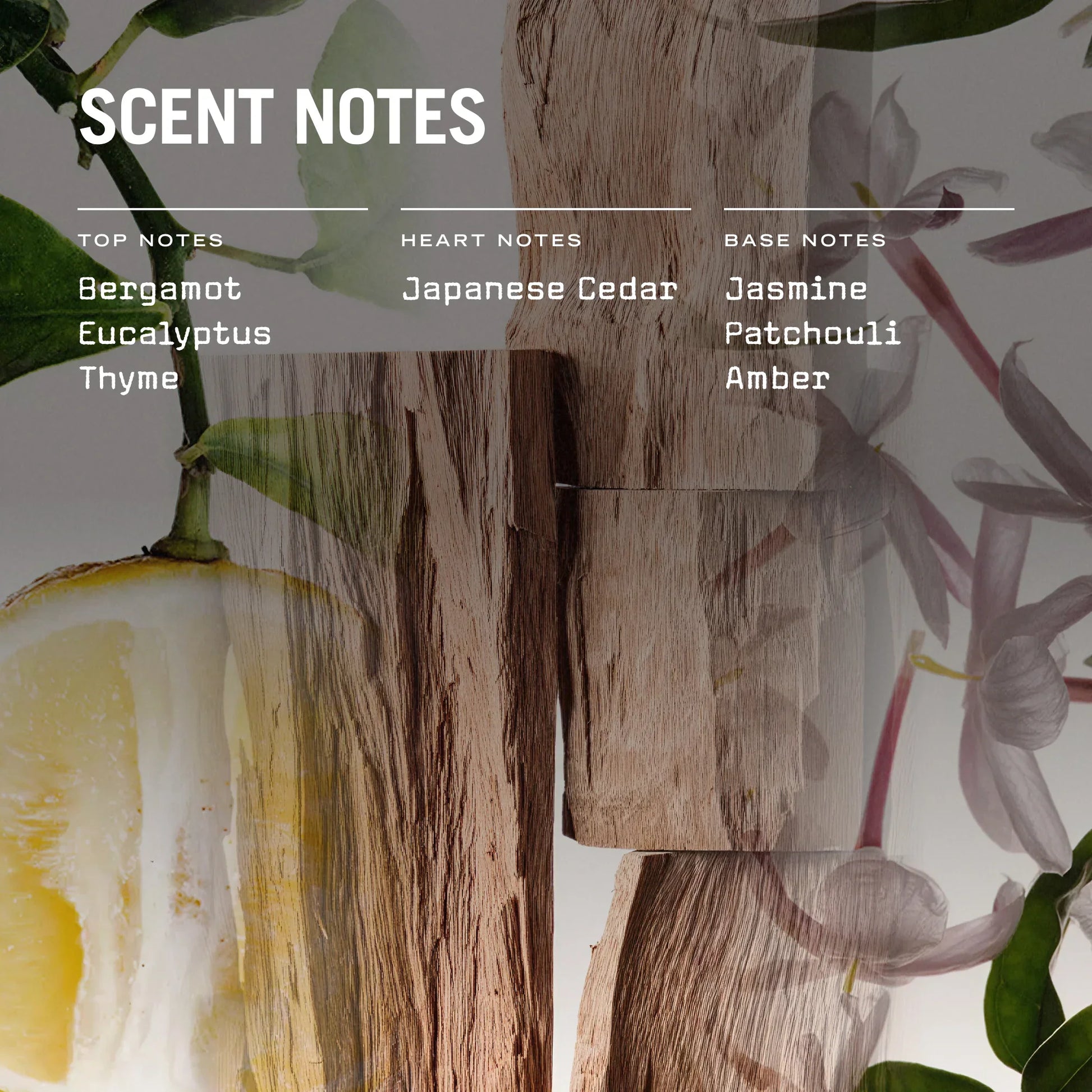Sugi 100ml Reed Diffuser
