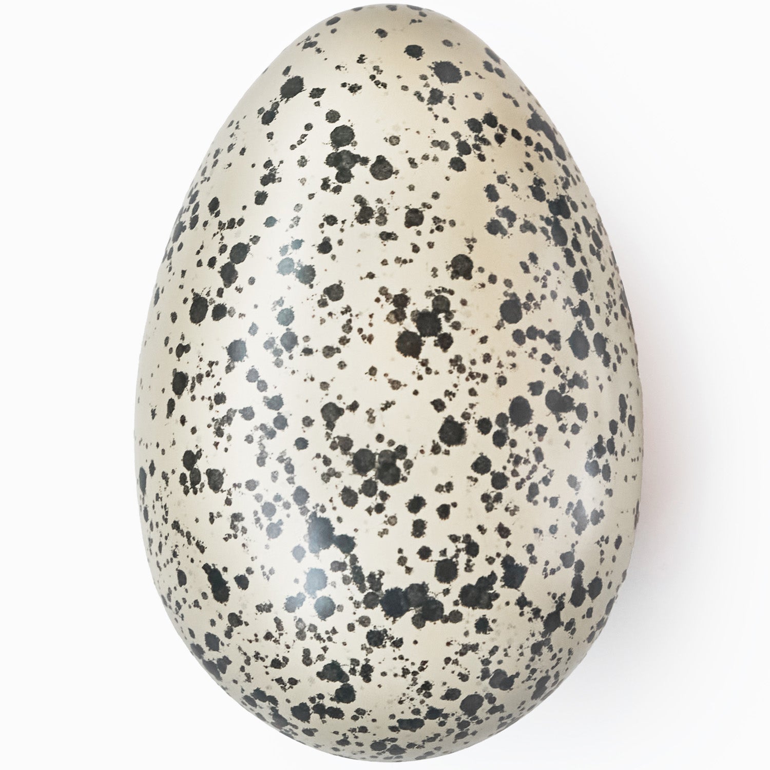 Spotted Reusable Easter Egg Tin