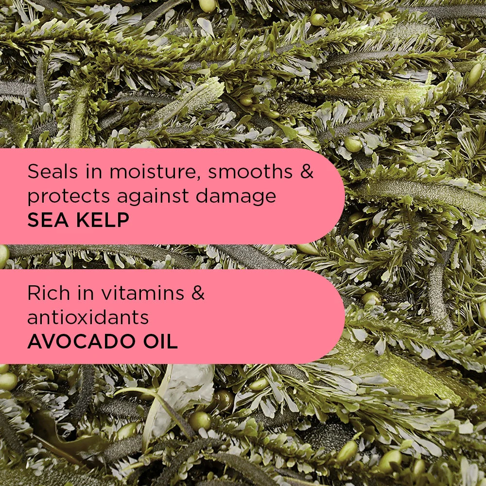 Wave Hello Shampoo