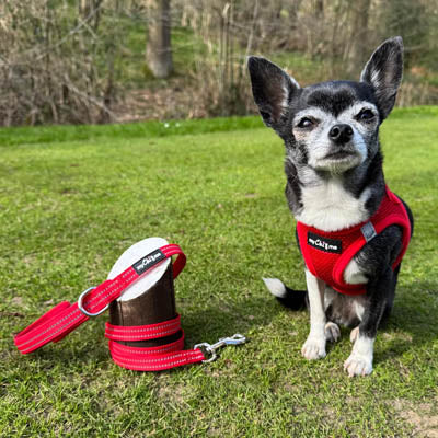 Reflective Webbing Lead with Neoprene Handle Red 15mm