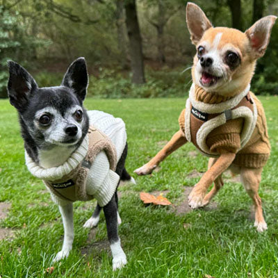 Step In Soft Touch Suede Faux Fur Lined Puppy and Small Dog Harness Mocha