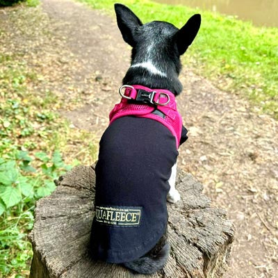 Tiny Trails Step In Air Mesh Puppy and Small Dog Harness in Hot Pink