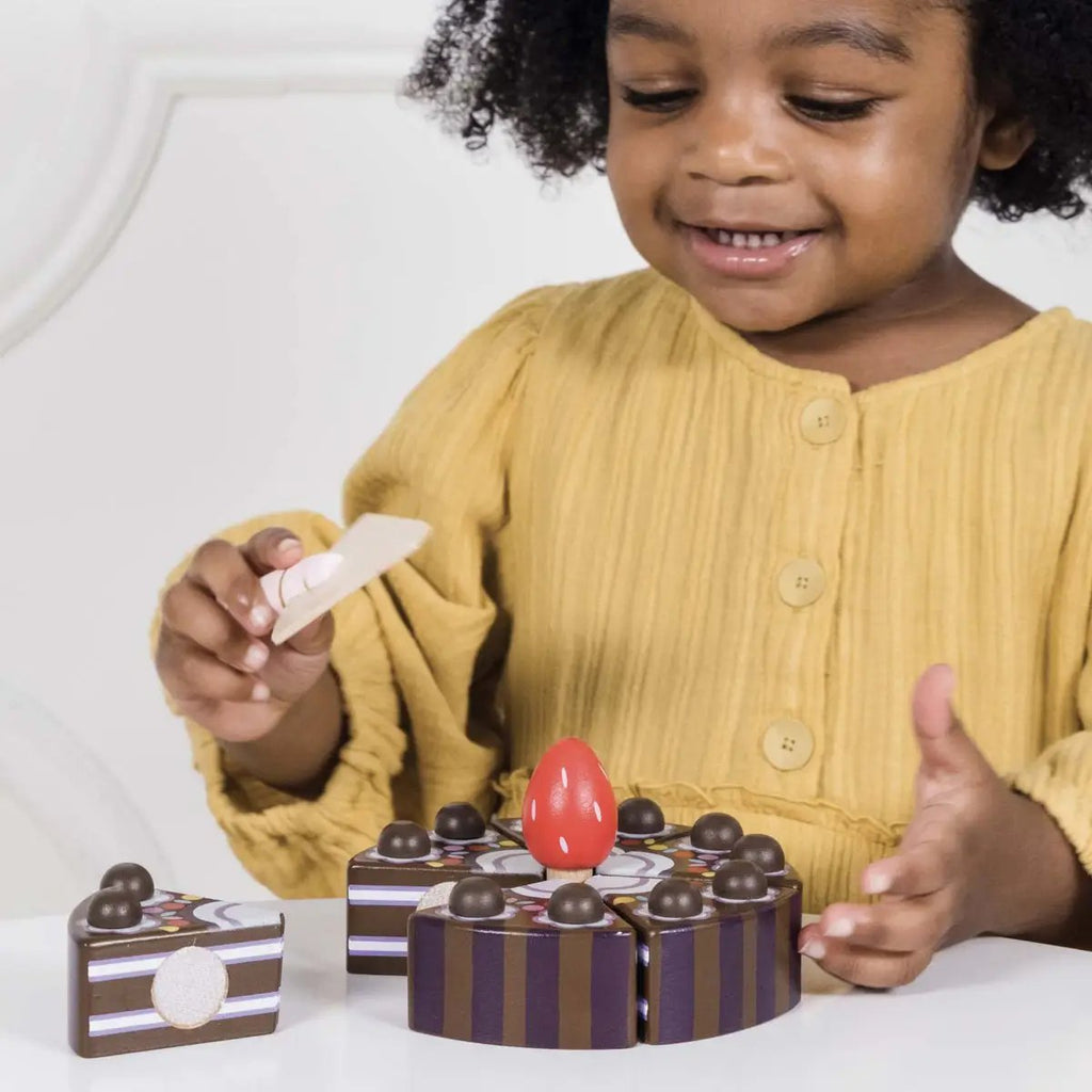 Chocolate Gateau Sliceable Cake