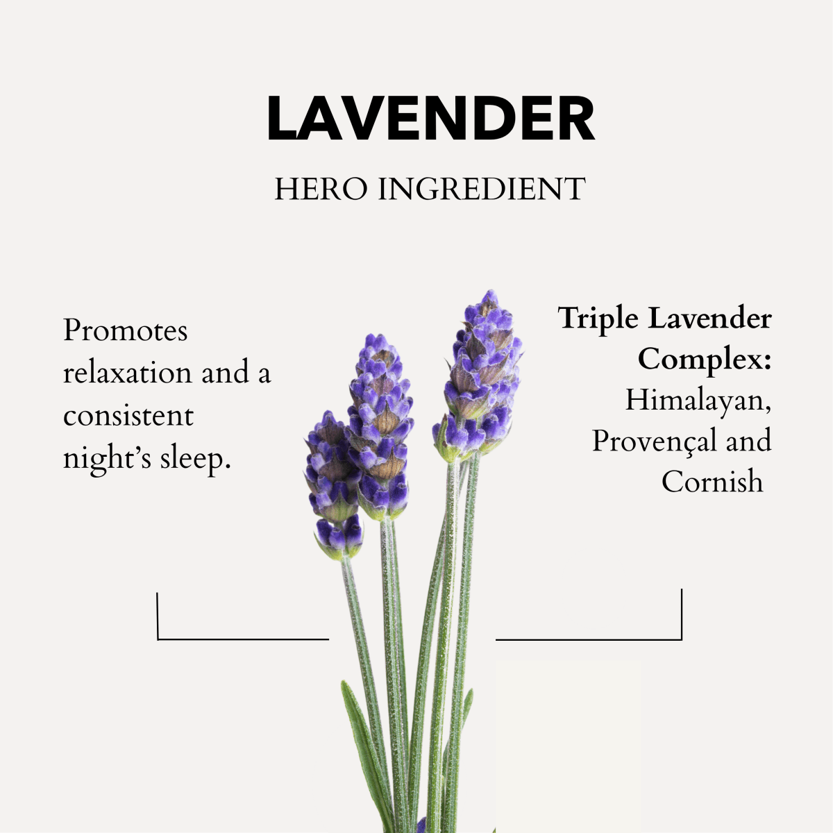The Little Gift of Good Sleep Lavender Travel Set