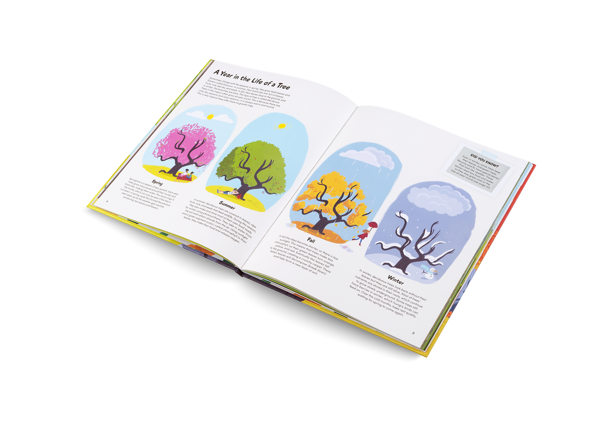 The Little Book of Trees