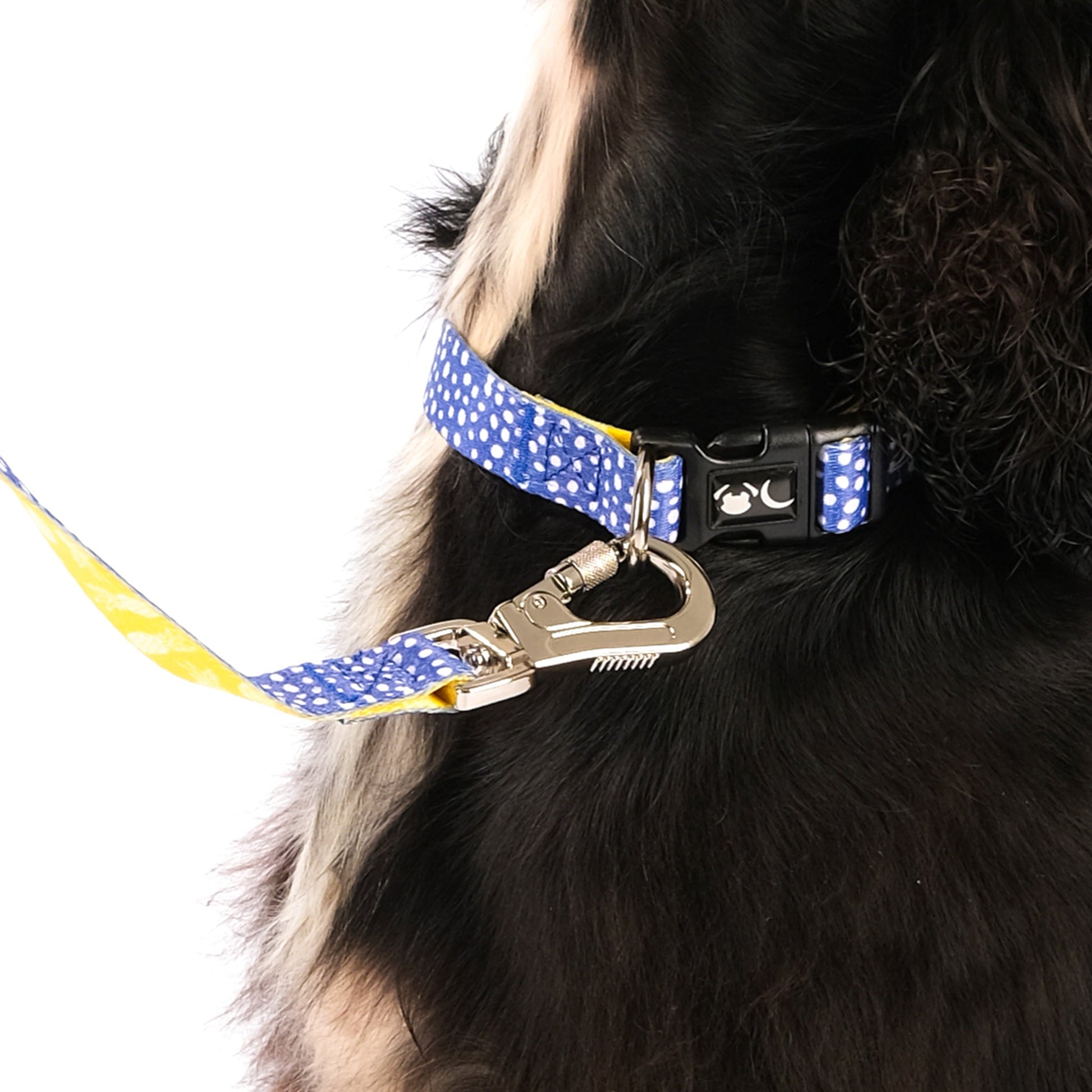 Minnie Lead Dog Lead with Padded Handle